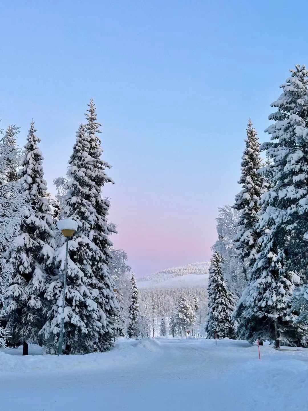 雪后清晨的童话世界｜路灯顶上那团蓬松雪，像极了刚出炉的棉花糖封面图