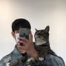 猫爪摸鱼人的头像