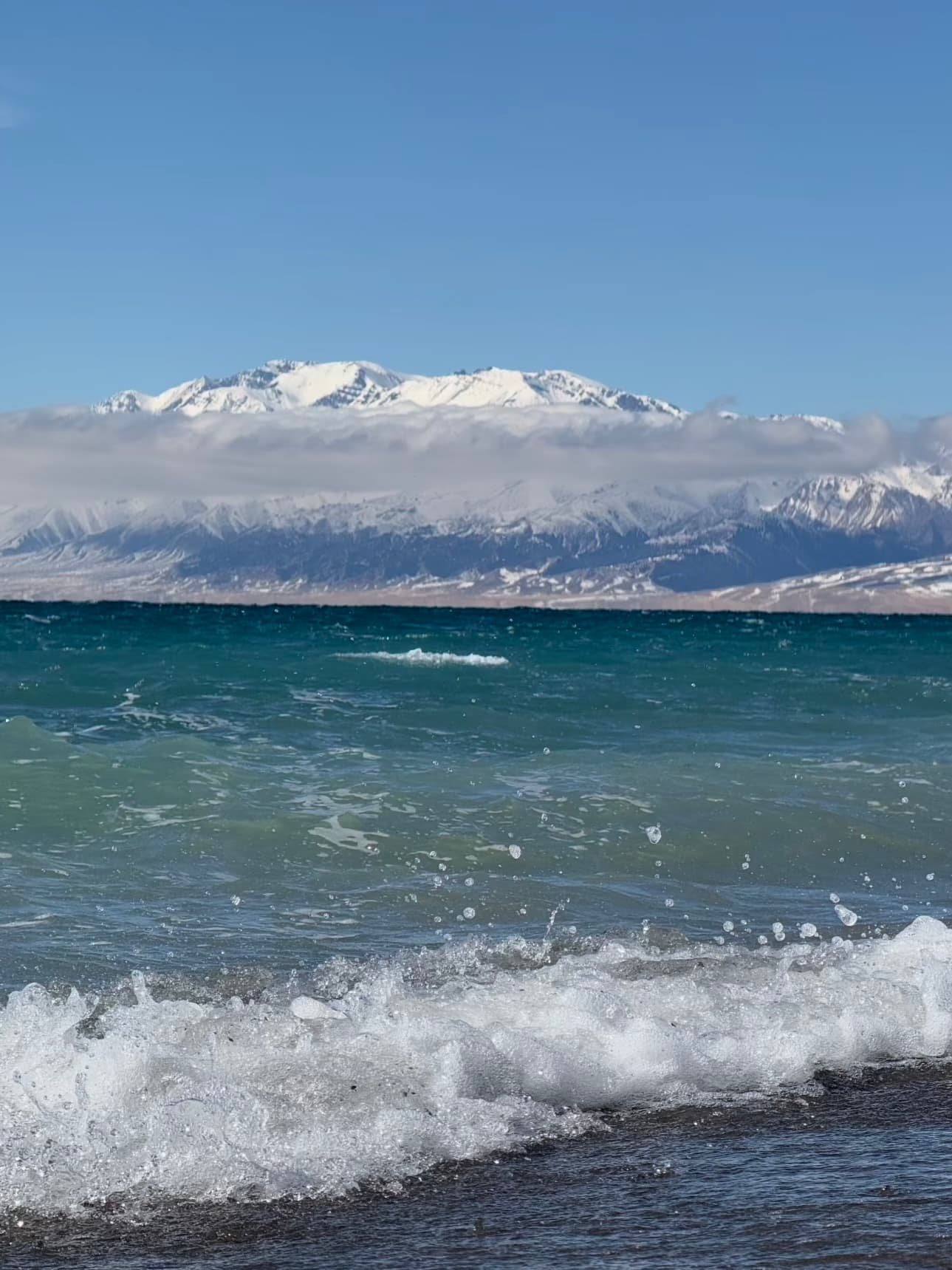 在新疆的湖边，浪花拍岸时突然想家了…雪峰和蓝水太治愈了封面图