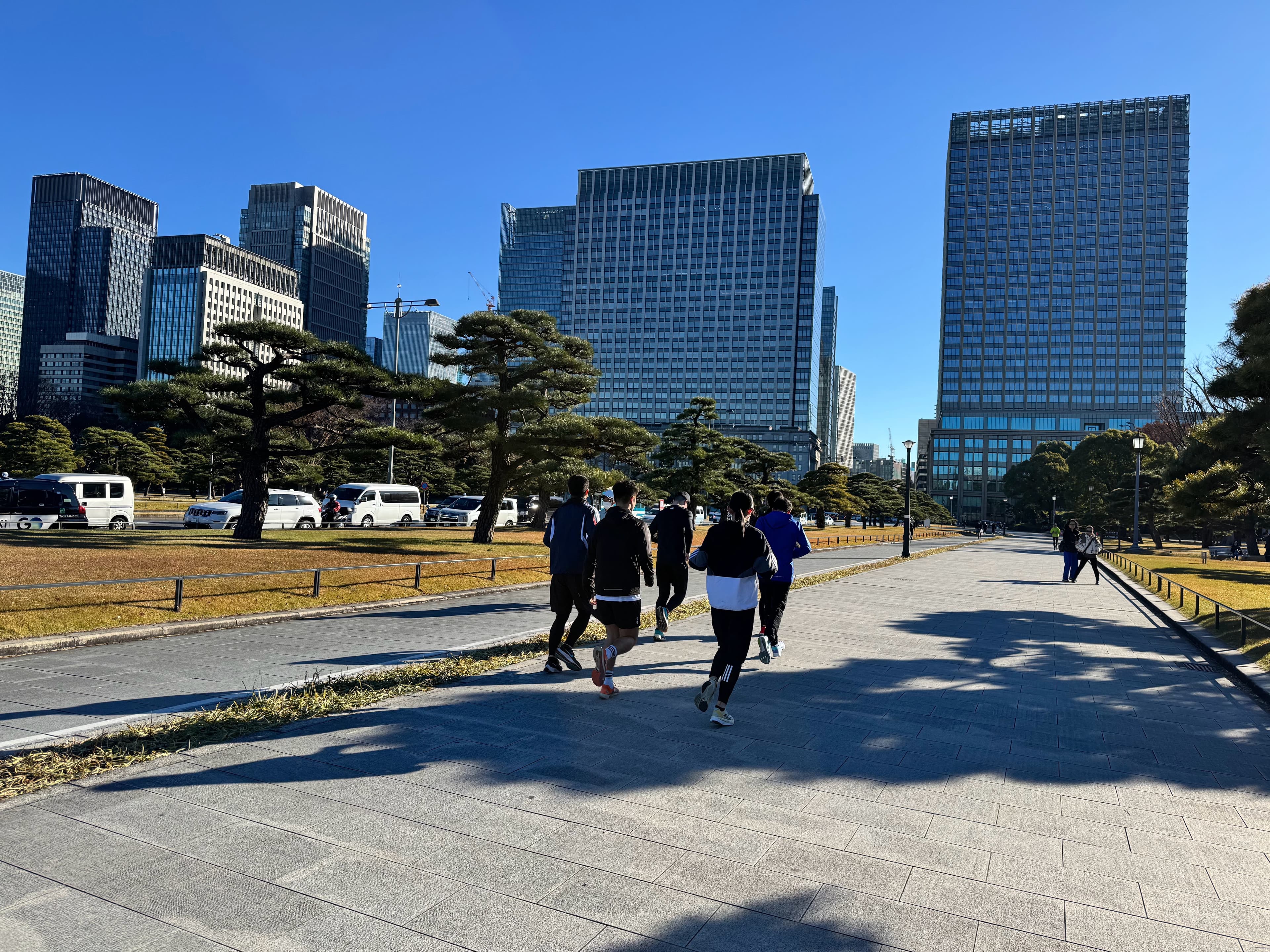 东京皇居外苑晨跑，阳光正好，树影婆娑～封面图