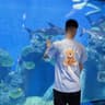 鲨鱼小哲的头像