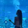 海风小卷17的头像
