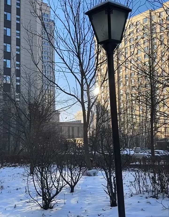 冬日路灯下，阳光在楼群间打了个转儿封面图