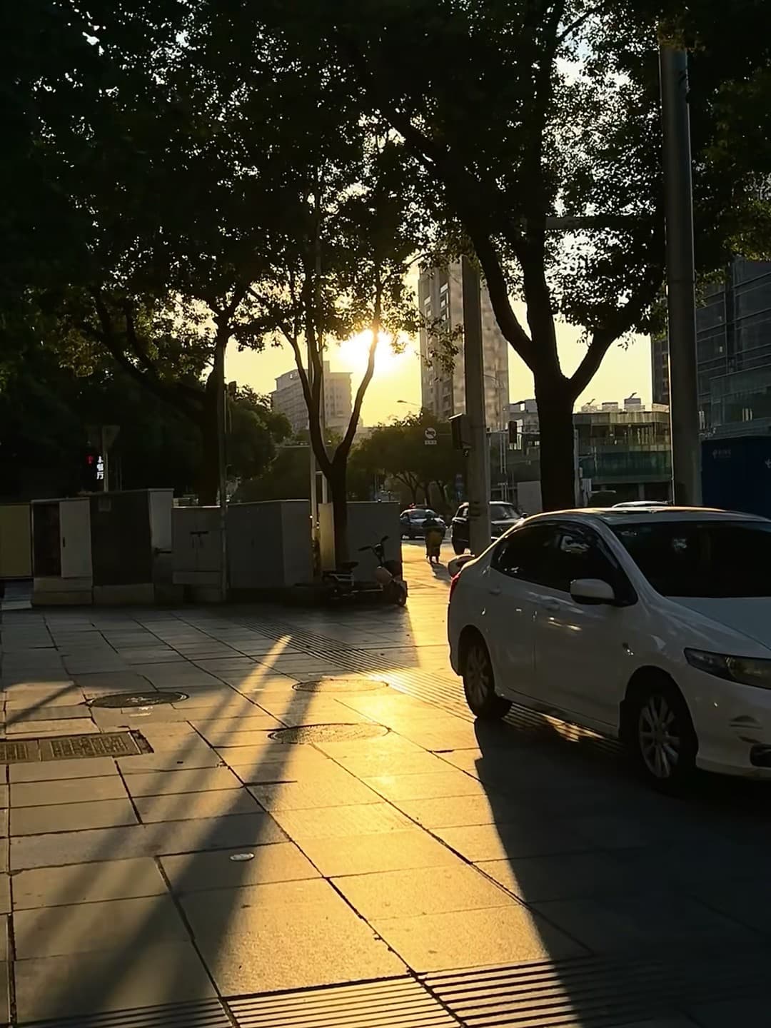 傍晚的光斜着切过人行道，像给城市按了慢放键封面图