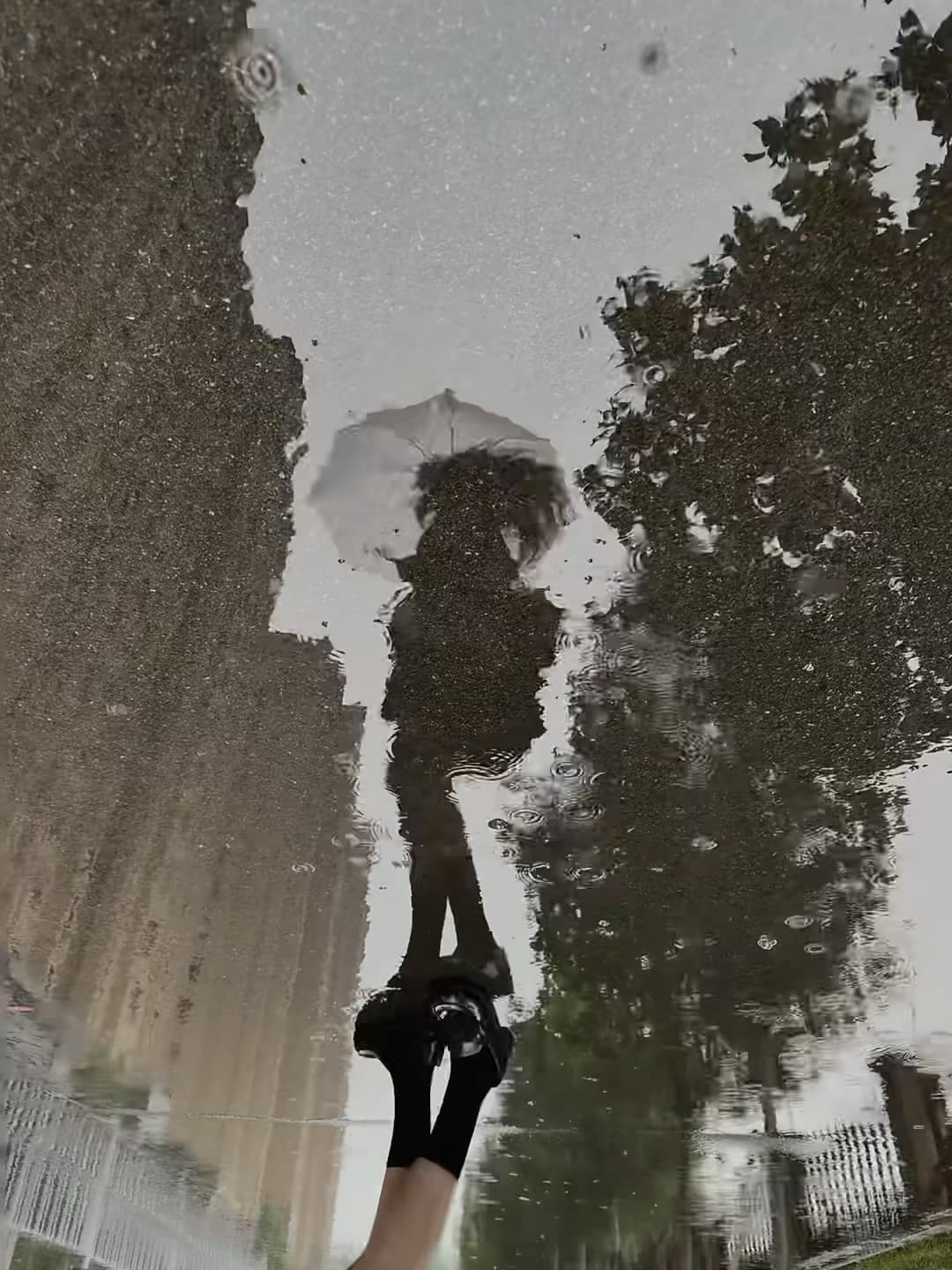 雨天蹲在路边拍倒影，伞下人影晃得像动画片封面图