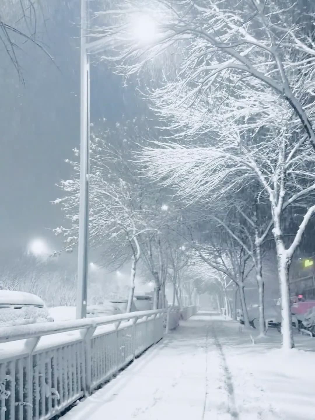 今晚的雪把路灯都染成雾凇了❄️ 通勤路直接变宫崎骏滤镜封面图