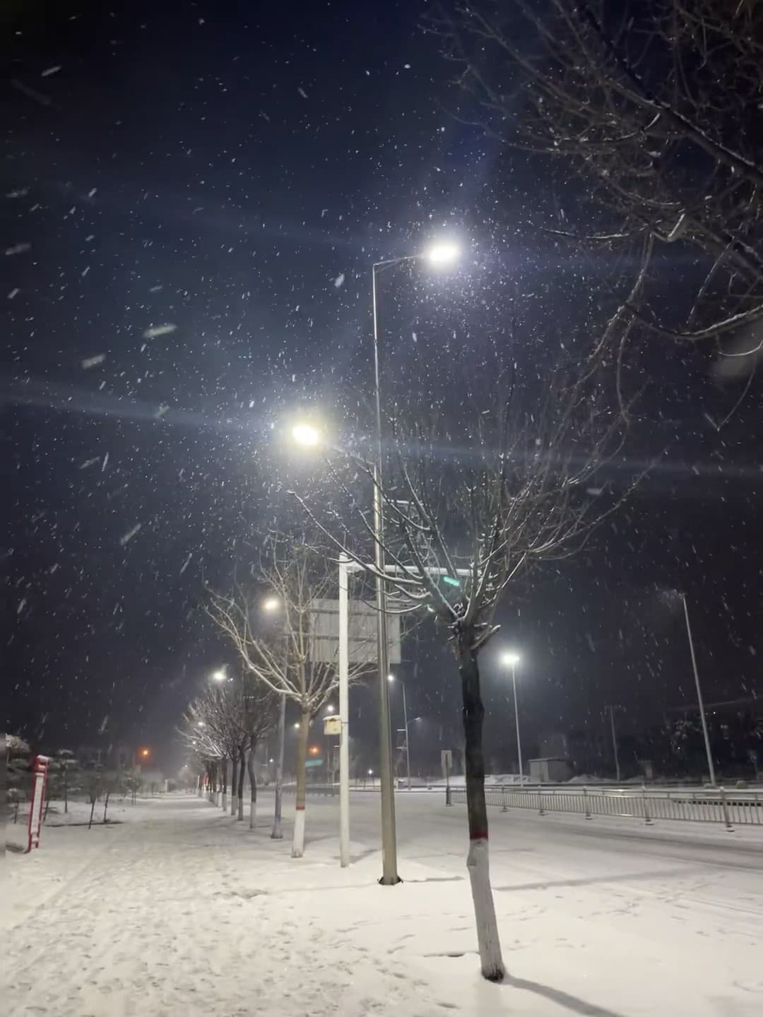 今晚的雪，像被路灯追着跑的萤火虫✨封面图