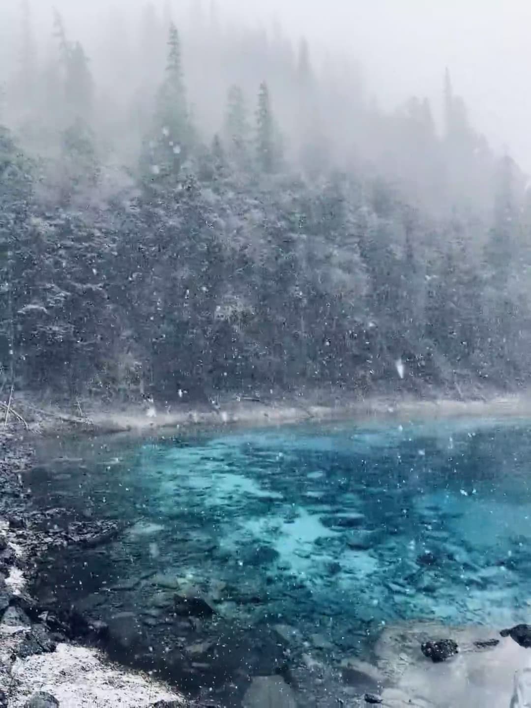 雪天湖边突然蓝得像童话…路过这处秘境时整个人被冻住了❄️封面图
