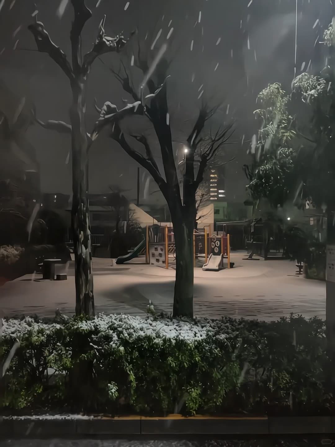 夜雪突然造访社区 playground，滑梯都冻成小冰山了❄️封面图