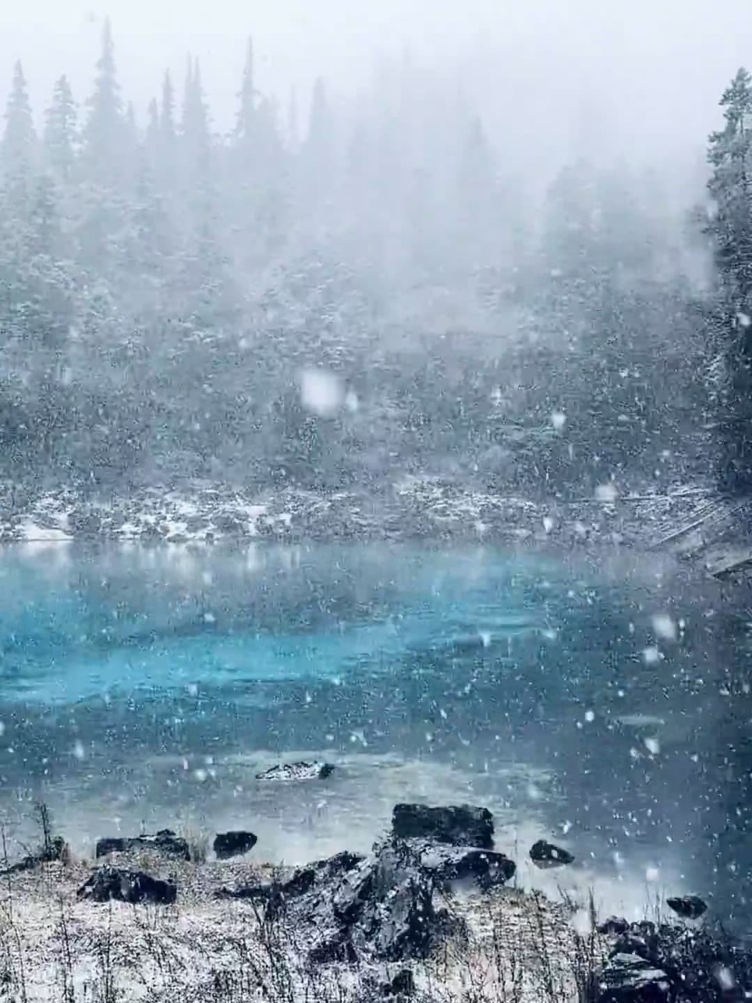 雪天湖边发呆，蓝得像被冻住的梦封面图