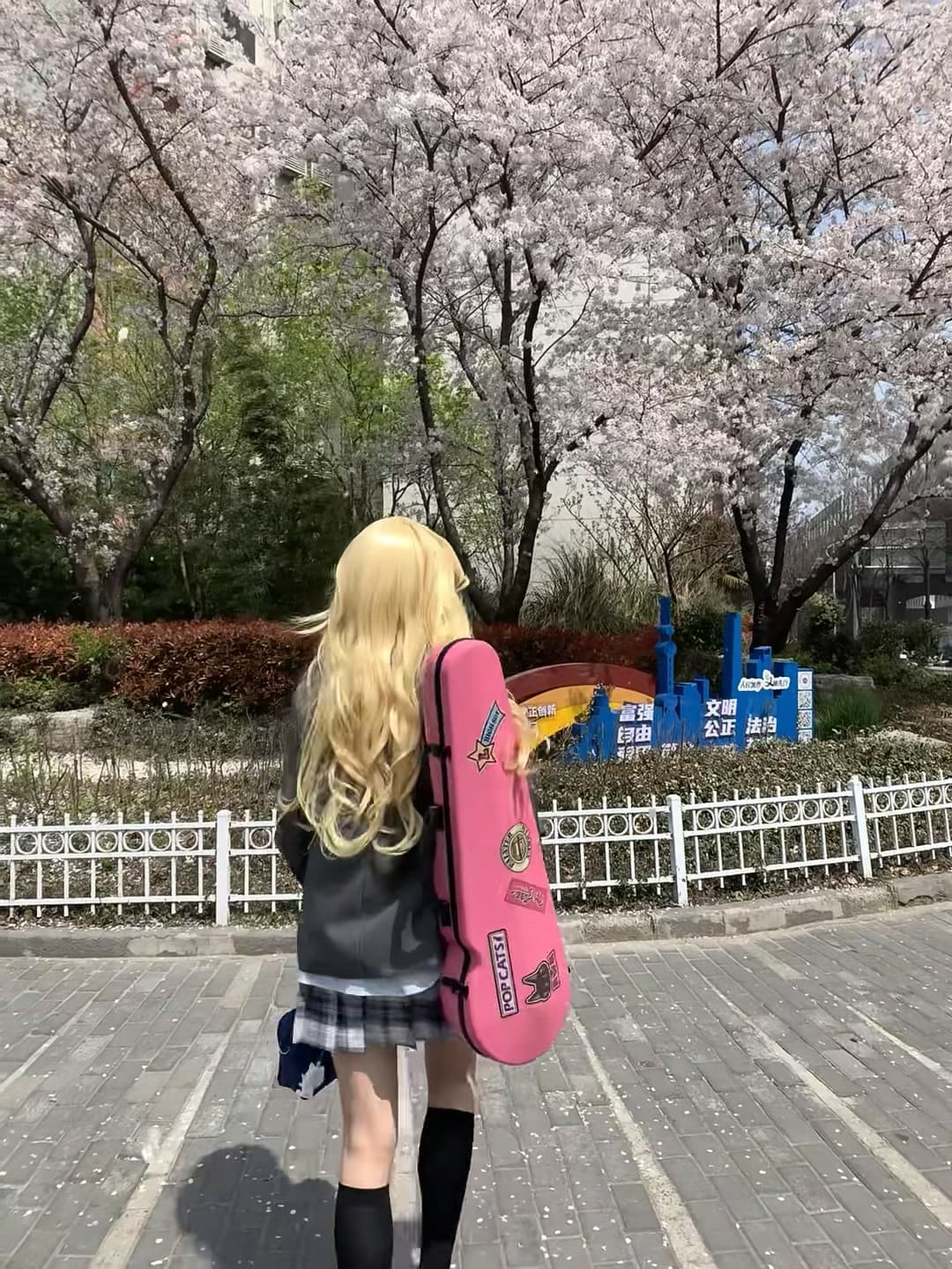 樱花季的琴盒也太配了 🌸 路过社区小公园，突然被这背影戳中封面图