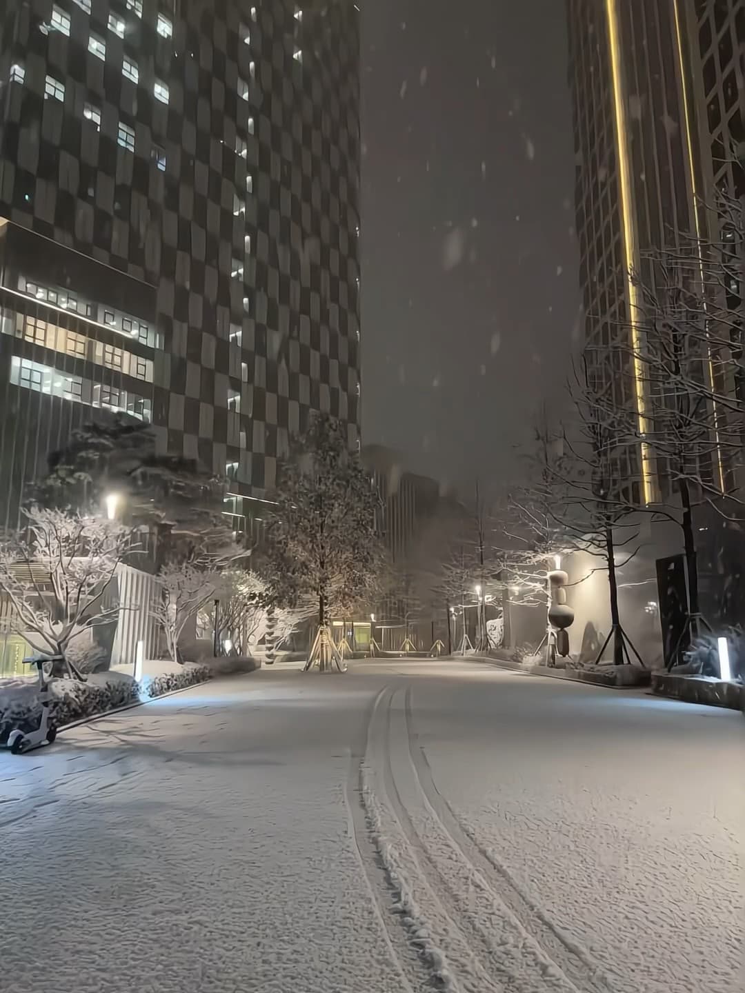 今晚的雪把写字楼都裹成棋盘格了 🌨️ 通勤路直接变滑雪场封面图