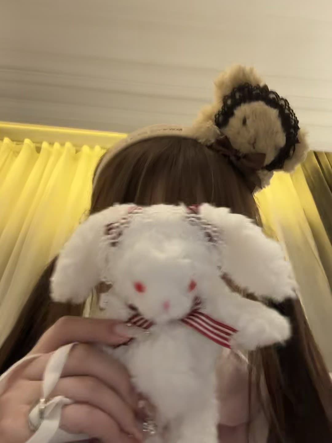 今日份毛绒绒治愈时刻 🐰封面图