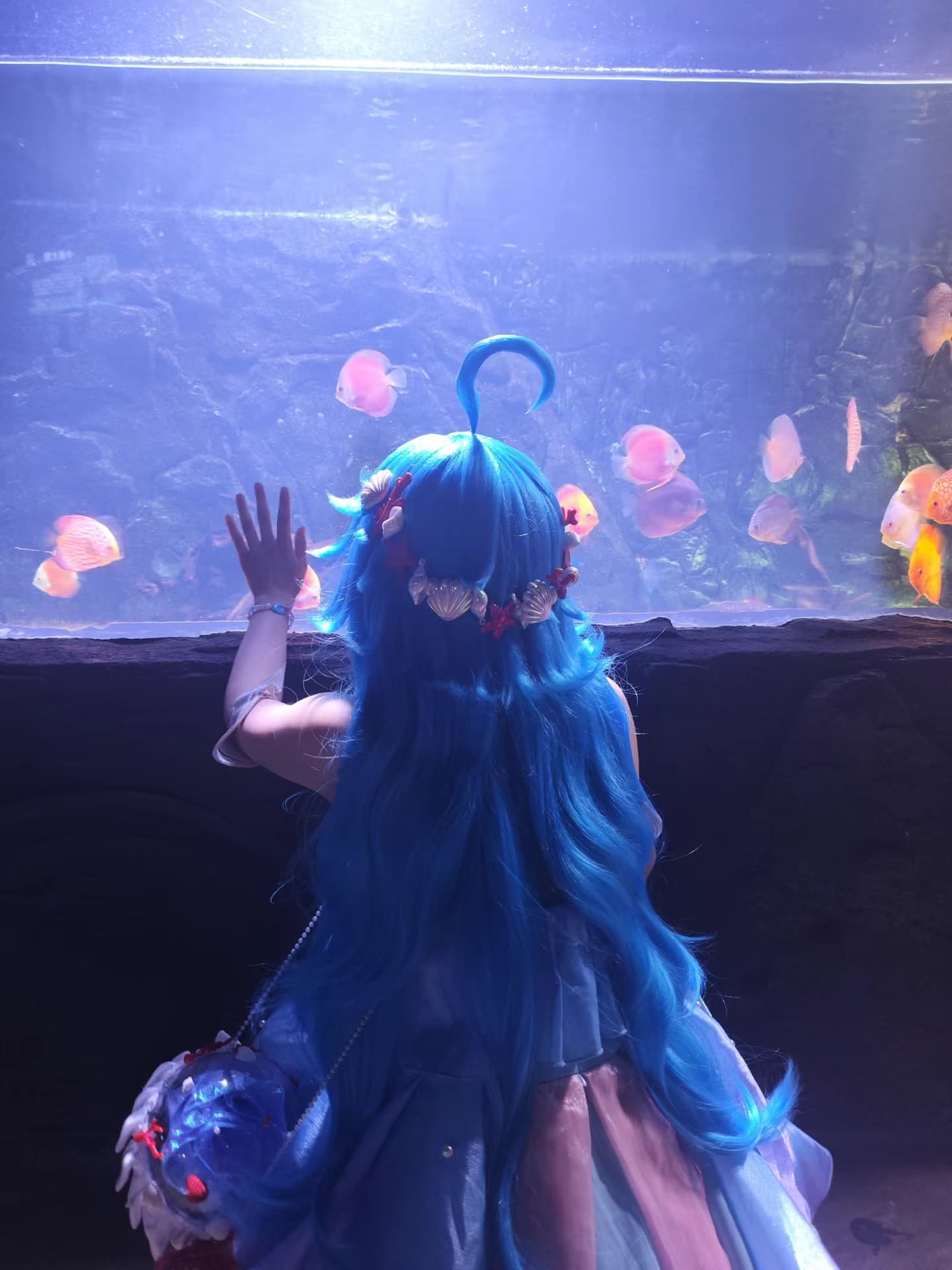 今天在Aquarium里偶遇小海神～蓝发飘飘像要游进鱼群了 🐠封面图