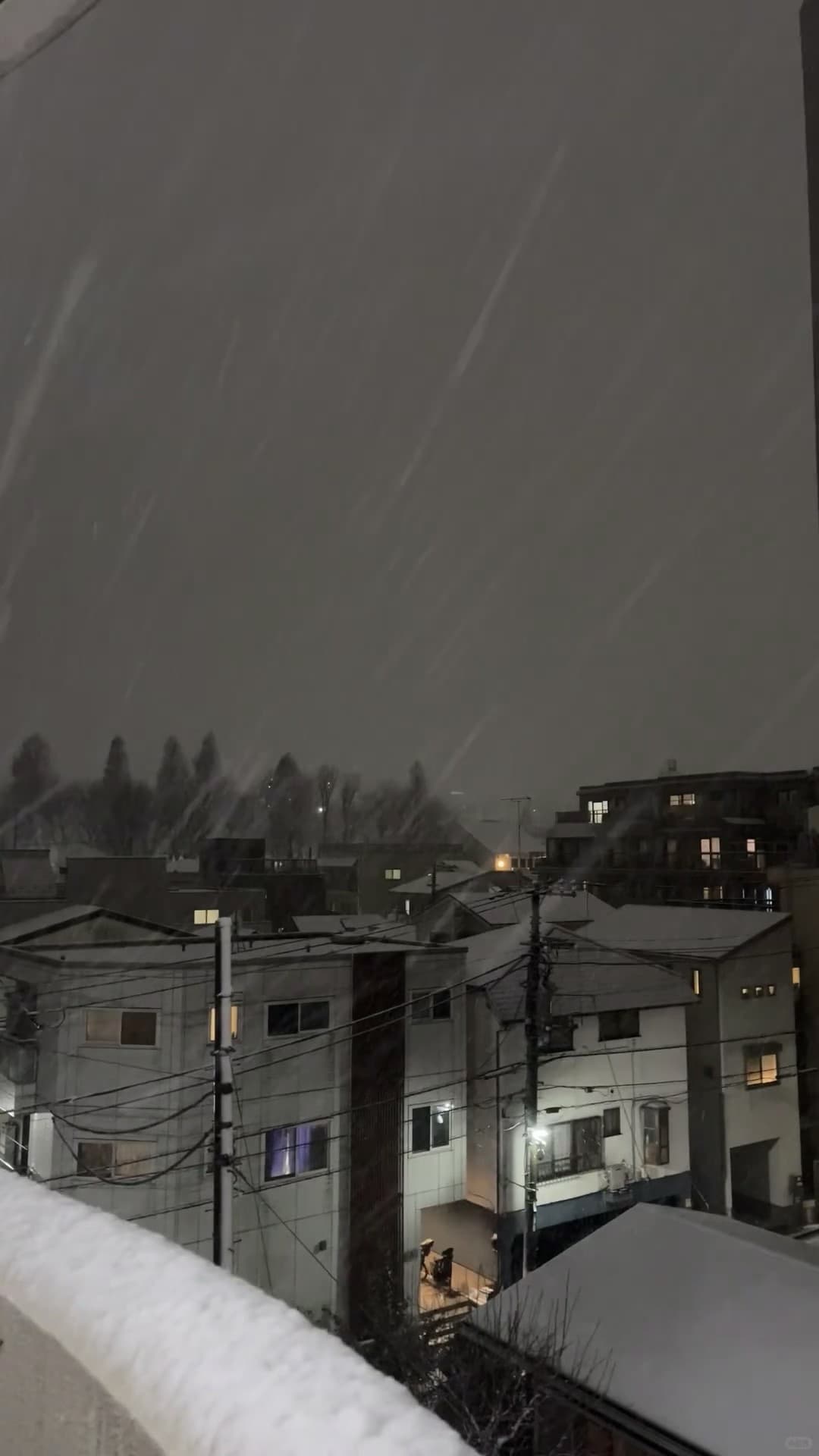 今晚雪下得像被风吹乱的纸片，连路灯都懒得直着站了封面图