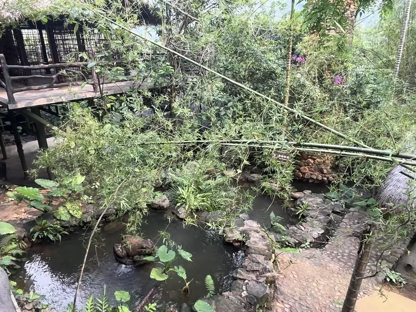雨后花园小径，竹枝垂落像在偷听水声封面图