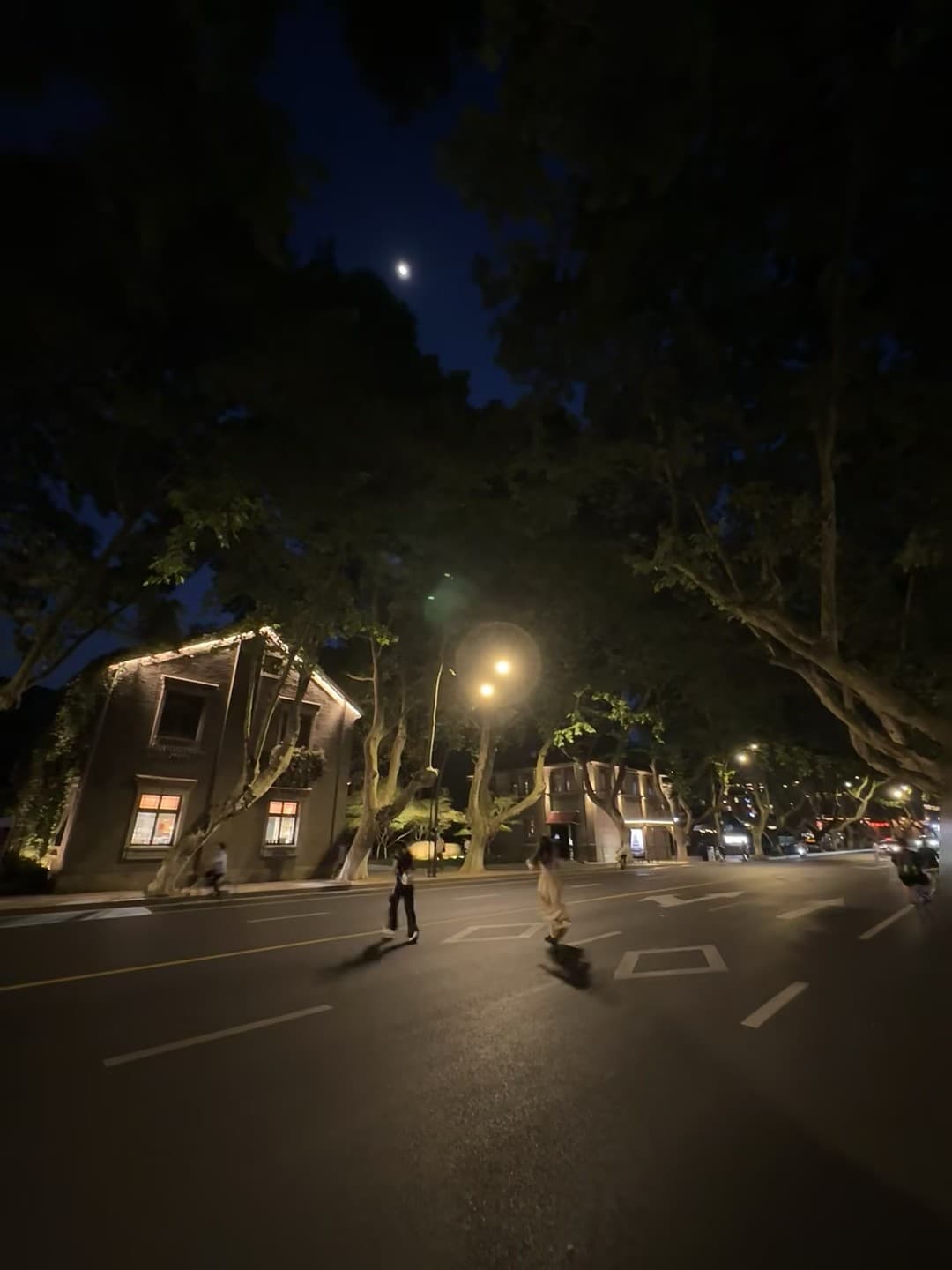 夜跑路过老洋房,月亮刚好卡在树梢上✨封面图