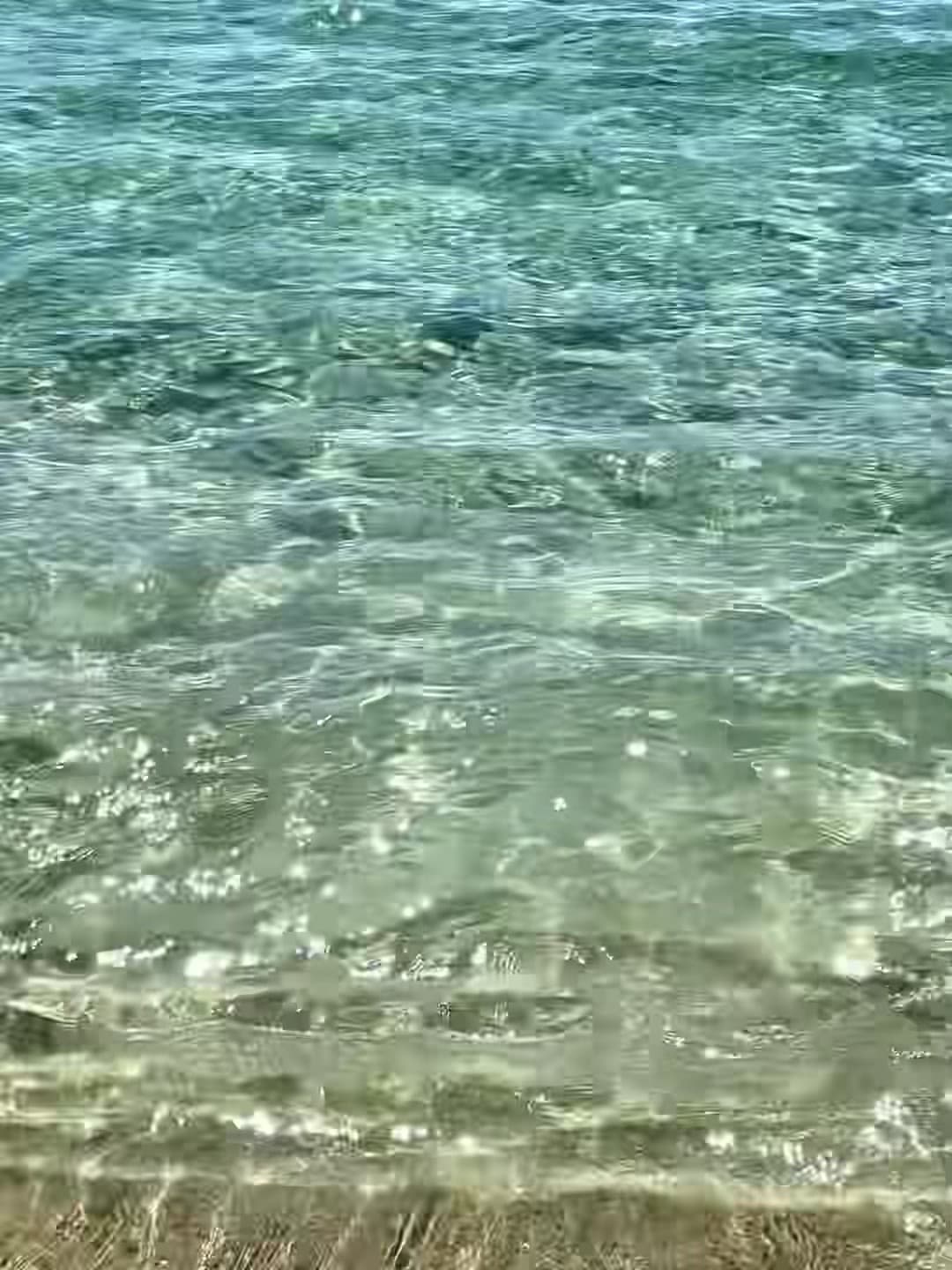 海浪拍岸的声音比闹钟靠谱多了🌊封面图