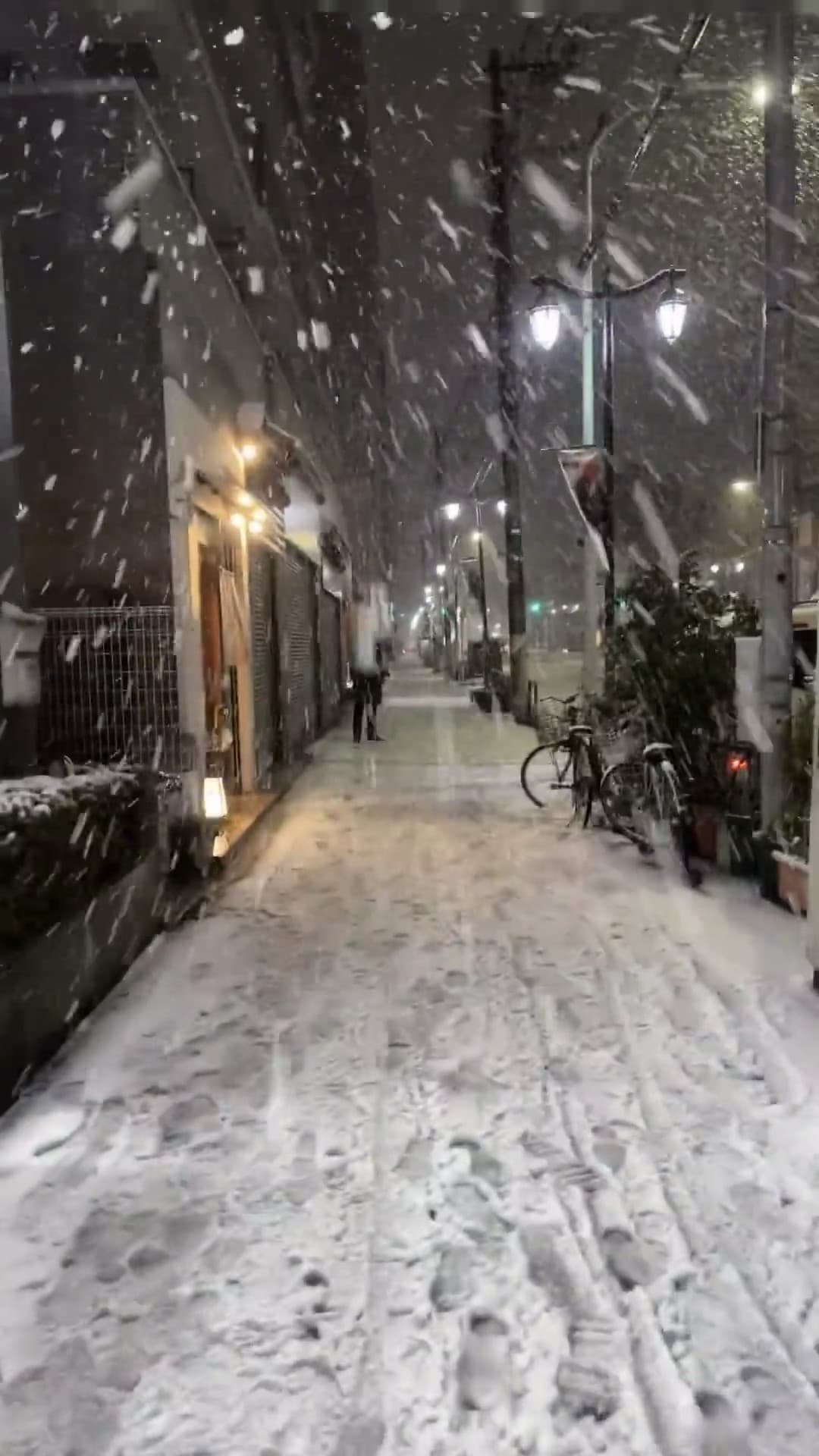 今晚的雪把巷子变成了童话，路灯一亮，雪花都成了光斑✨封面图