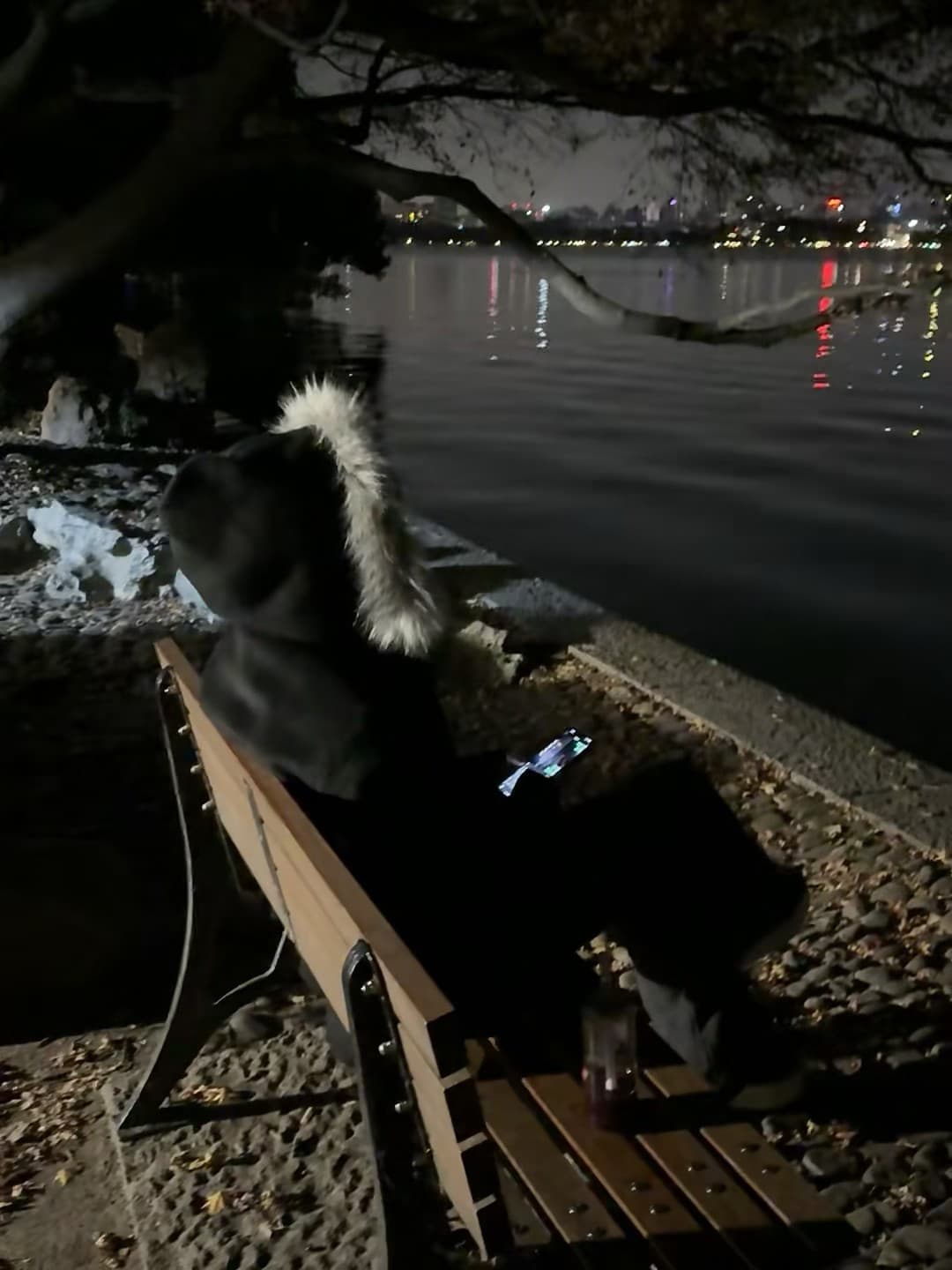 深夜湖边长椅，手机电量比心还亮封面图