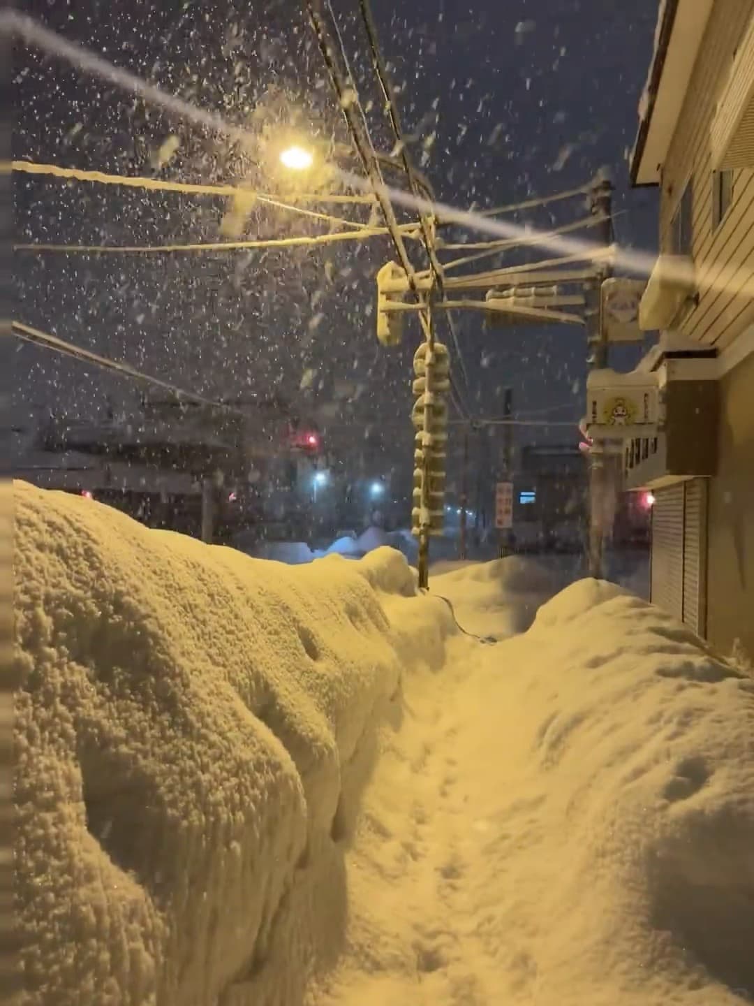 今晚的雪把路灯都染成暖黄色了❄️通勤路直接变雪地隧道封面图
