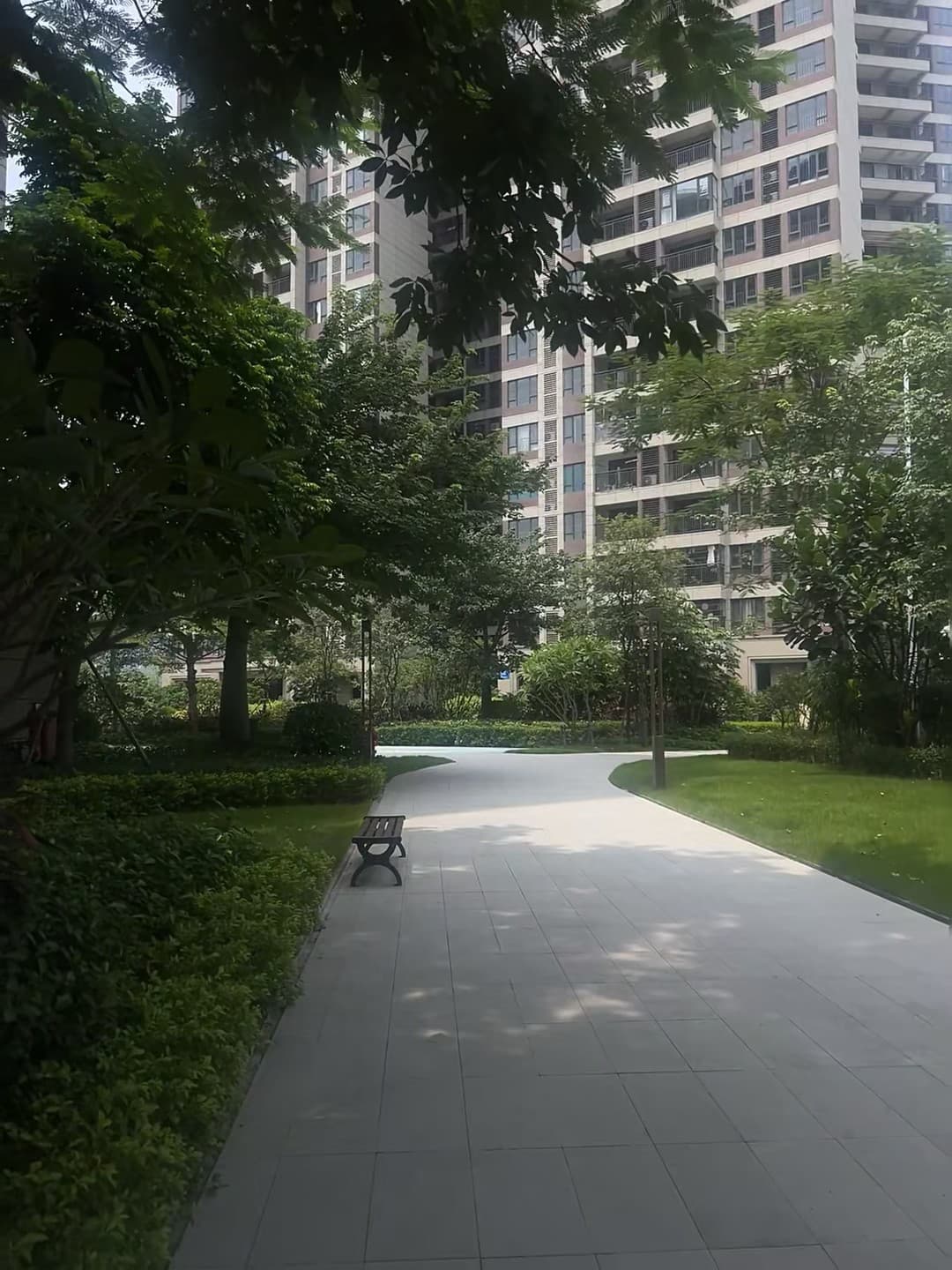小区里突然冒出来的‘秘密花园’,连我这个路痴都绕进去了封面图