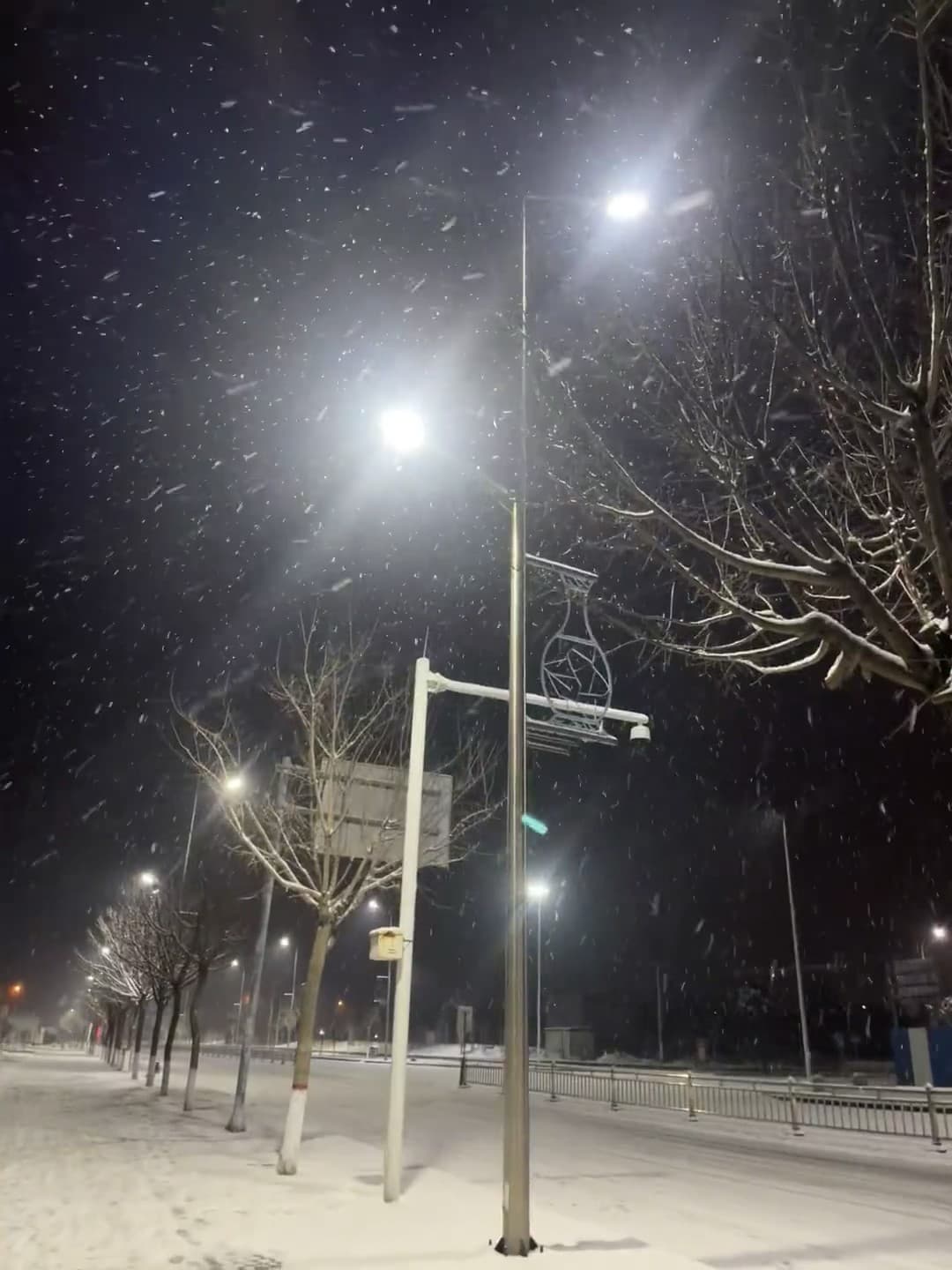 雪夜路灯下，光斑里飘着雪花｜今晚的街角像童话封面图