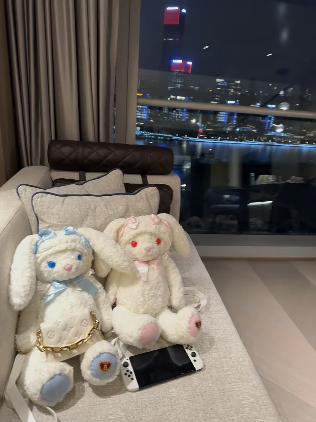 夜幕下的毛绒小宇宙，窗外是维港的灯海封面图