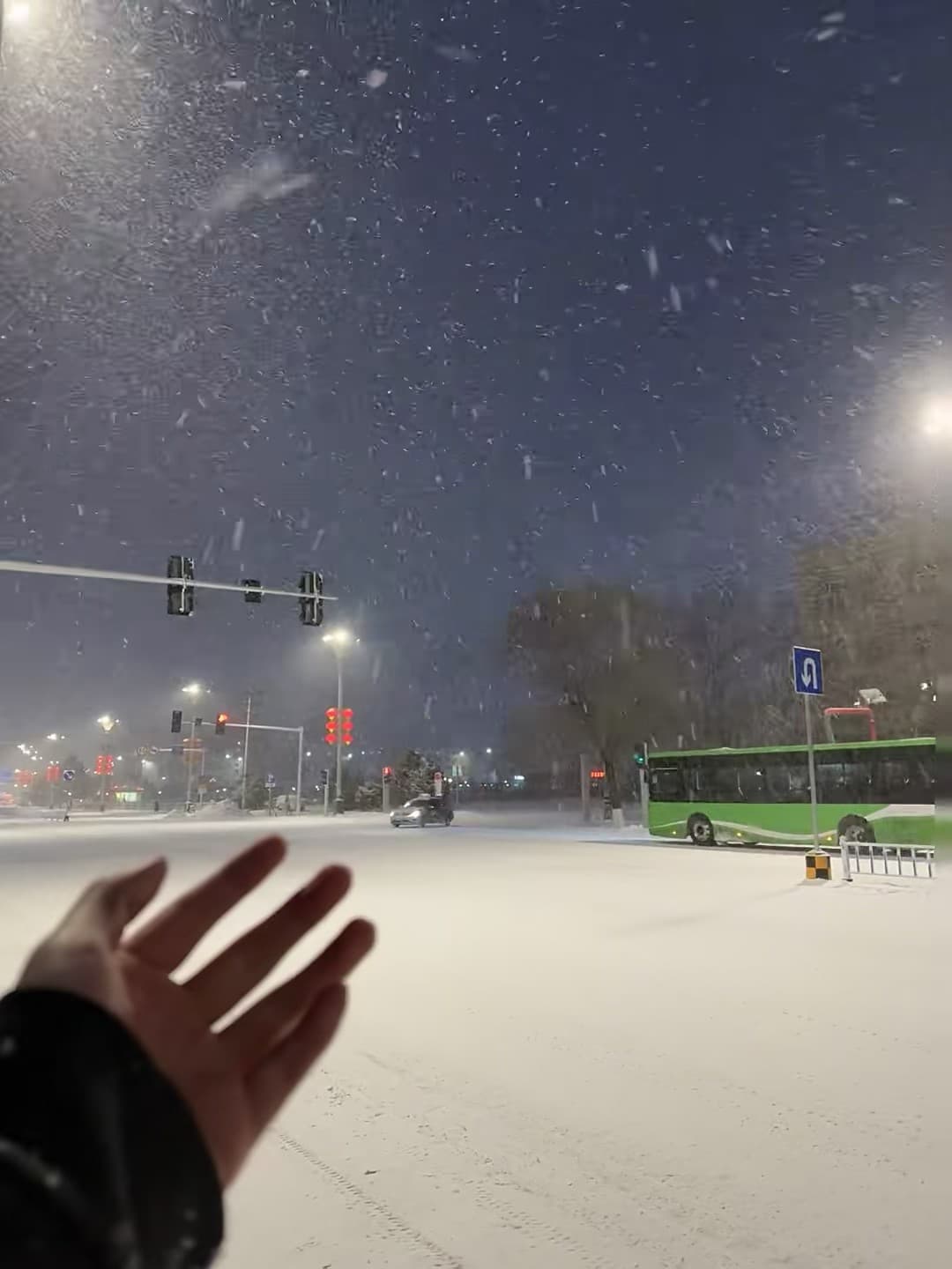 雪夜街头伸手接雪，车灯在雪幕里晕成一团暖黄封面图