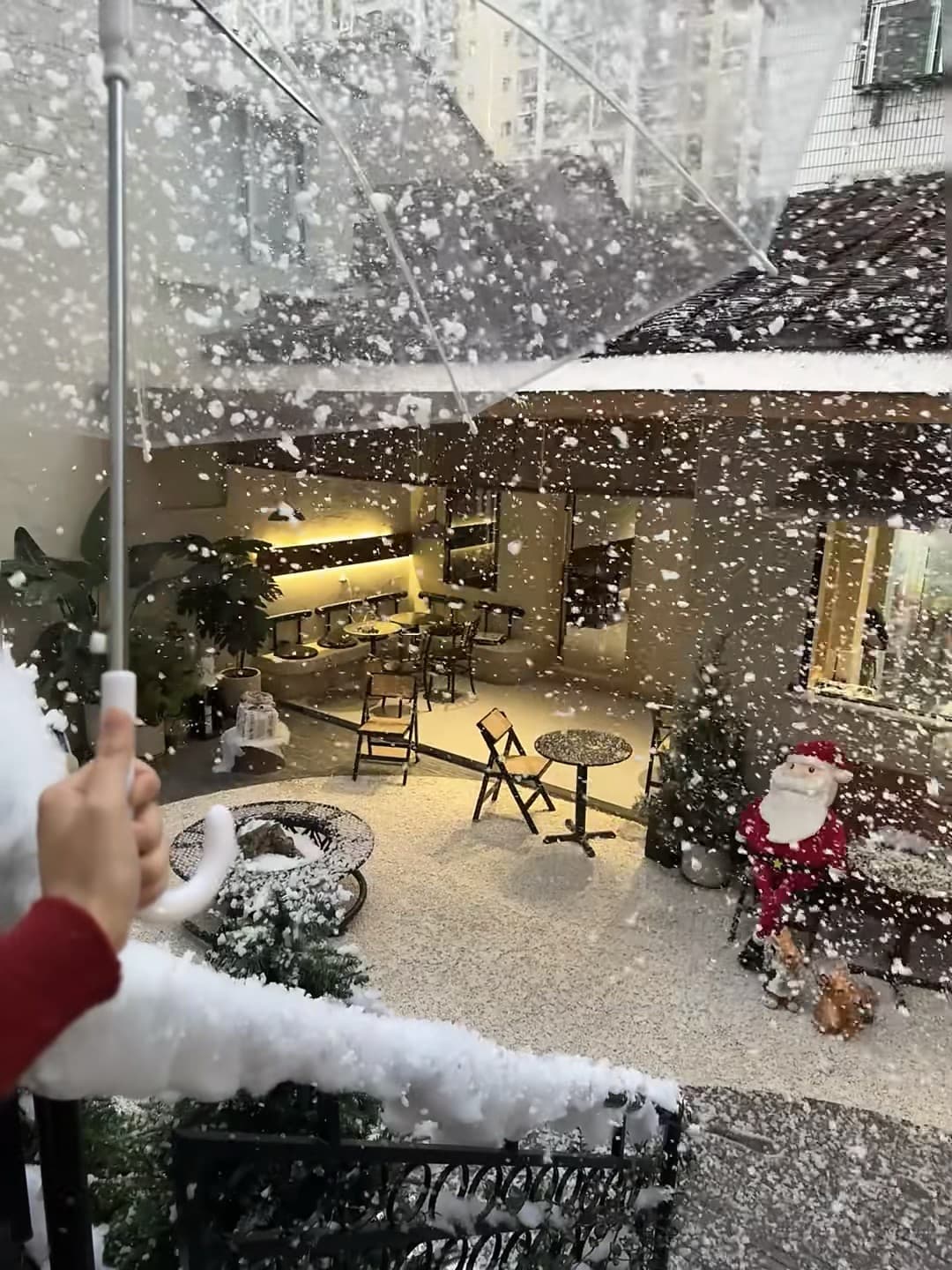 今天在咖啡店后院被‘雪’袭击了…伞都快成雪球了封面图