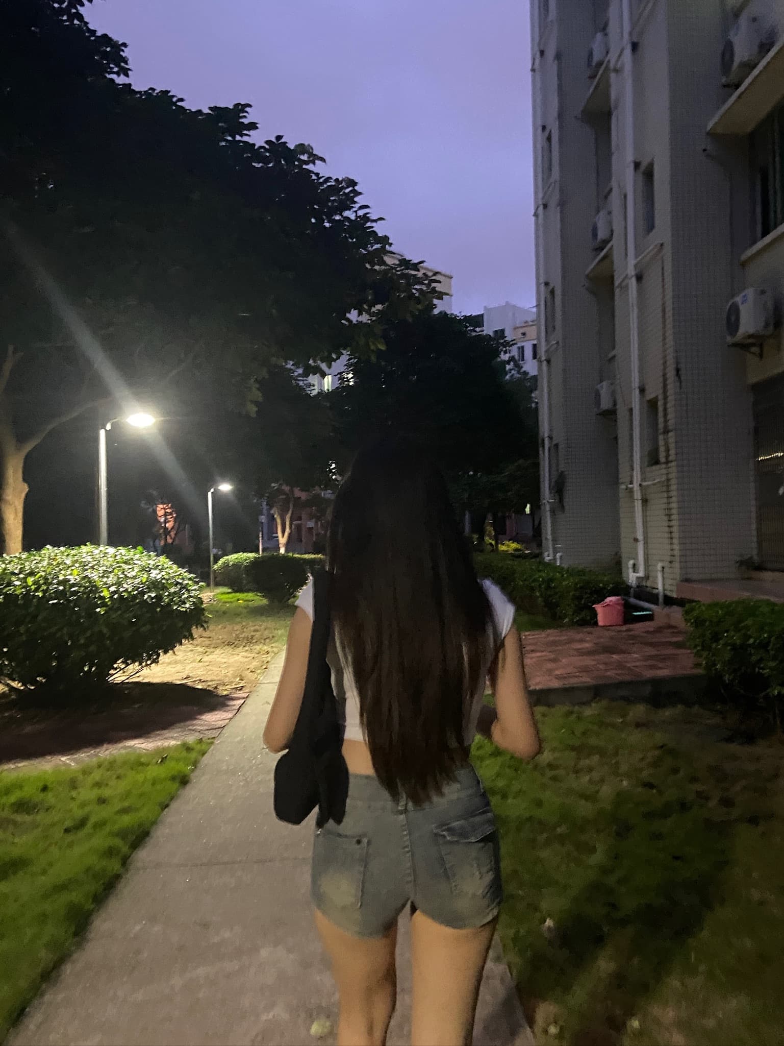 傍晚散步顺手拍了下背影,风把头发吹成海藻~封面图