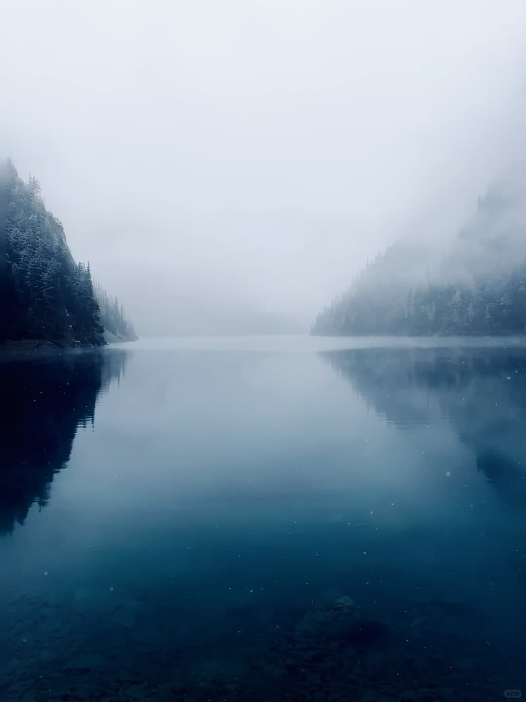 雾里看湖，像闯进《哈利波特》的禁林边缘｜今天在Lake Louise刷屏了封面图