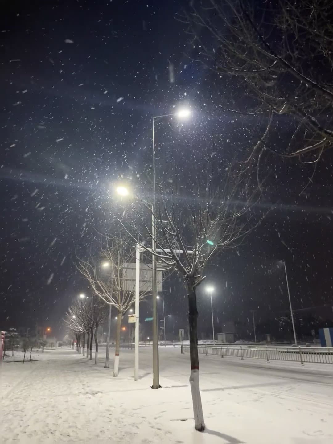 深夜路灯下飘雪，像被按了暂停键的冬日童话封面图