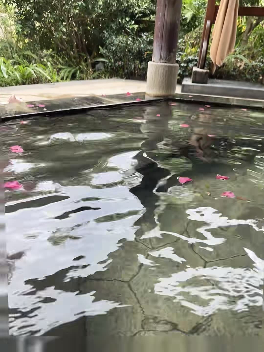 泡汤时发现水里有玫瑰花瓣，像被春天偷偷藏进去了封面图