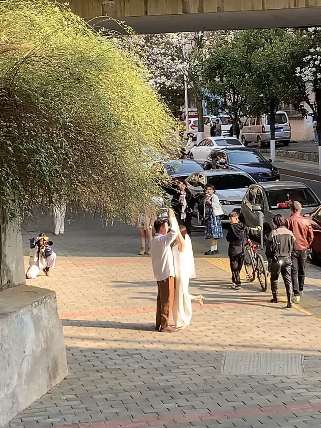 路过桥下被偷拍了…这组婚纱照的光太绝了！封面图