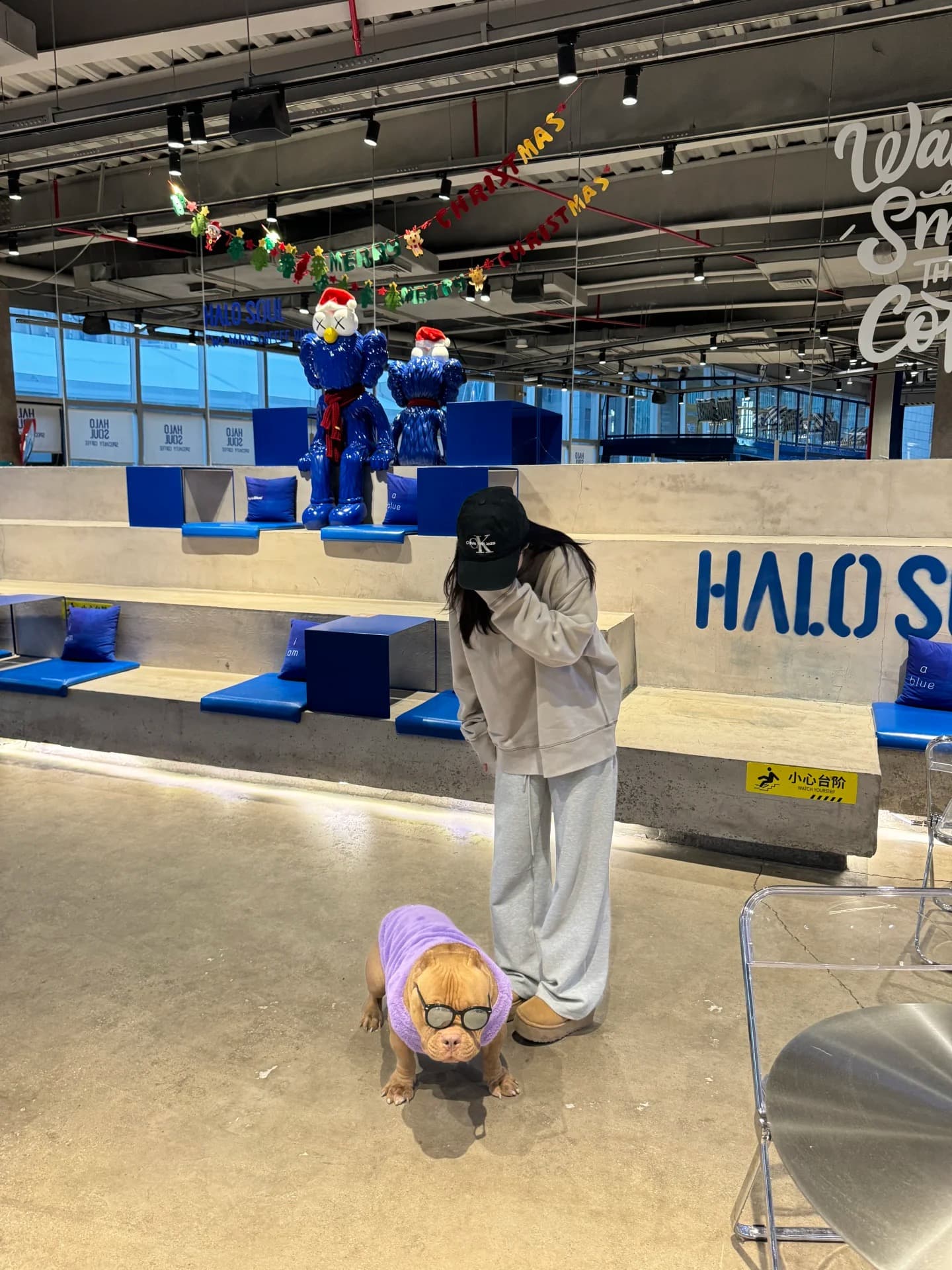 今天在HALO SOUL被狗狗戴眼镜的造型笑到打滚…它说：‘我才是主理人’封面图