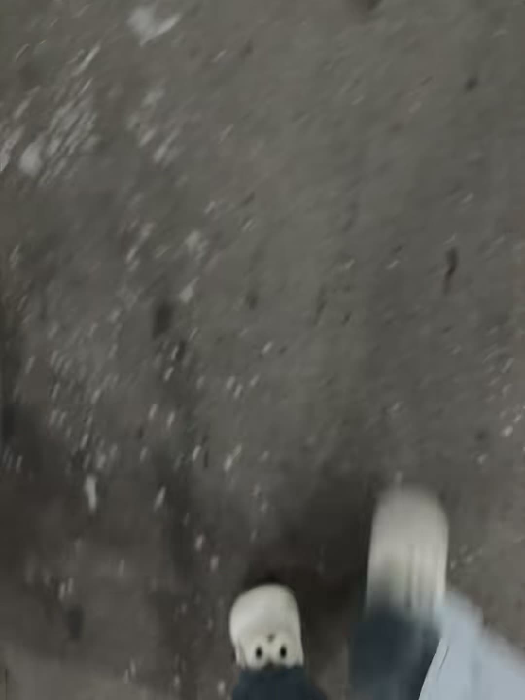 雪后通勤,鞋底粘了整片小雪花❄️封面图