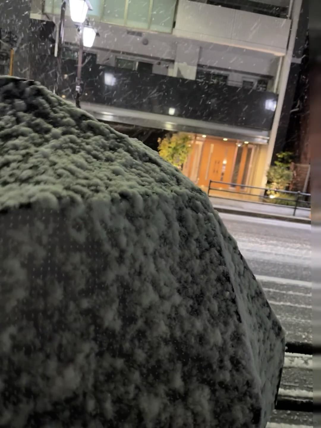 雪夜摸鱼回家，伞被压成雪山了…
（东京街角的冬日小确幸）封面图