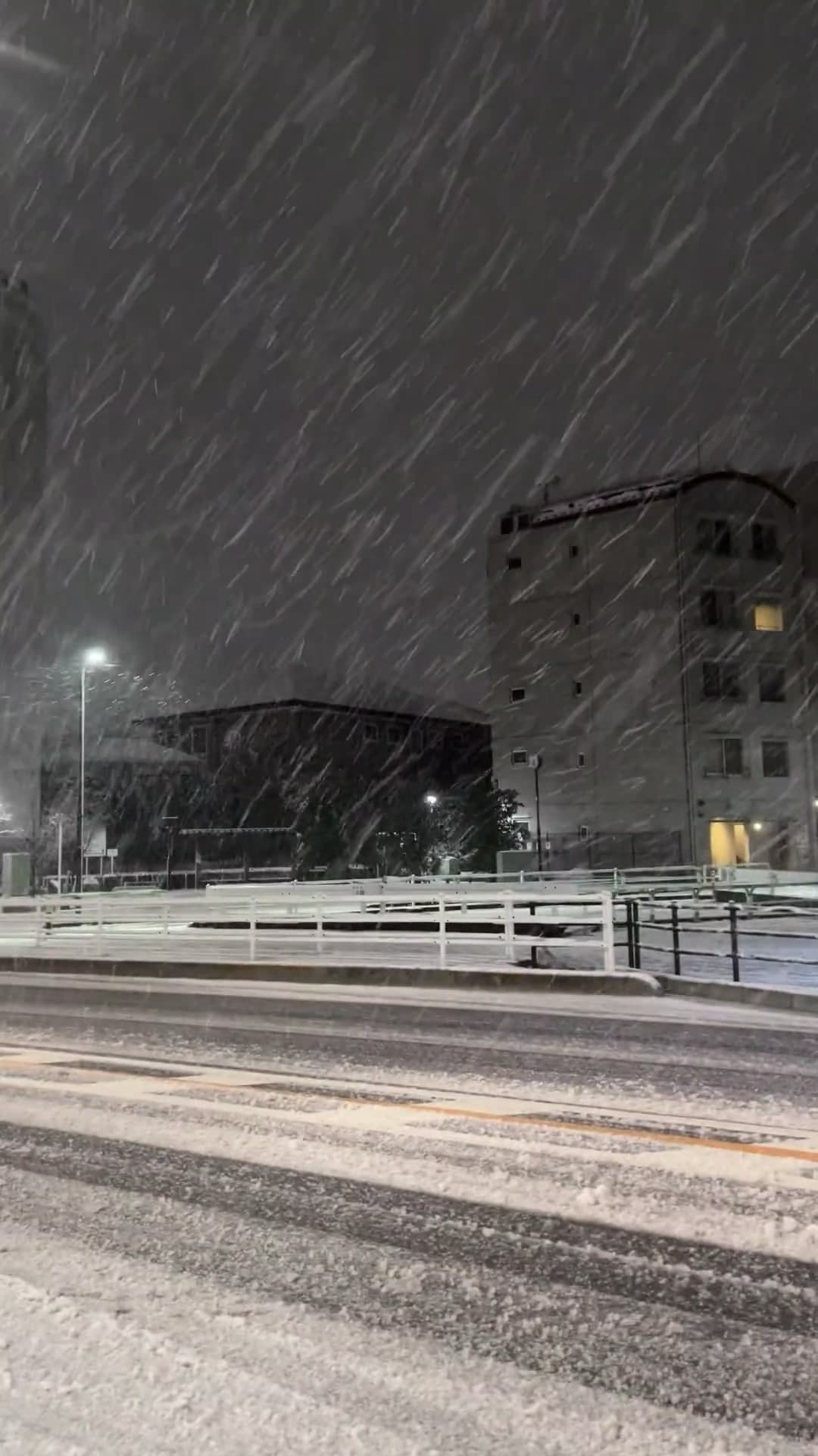 夜雪封路，连路灯都裹了层白棉被❄️封面图