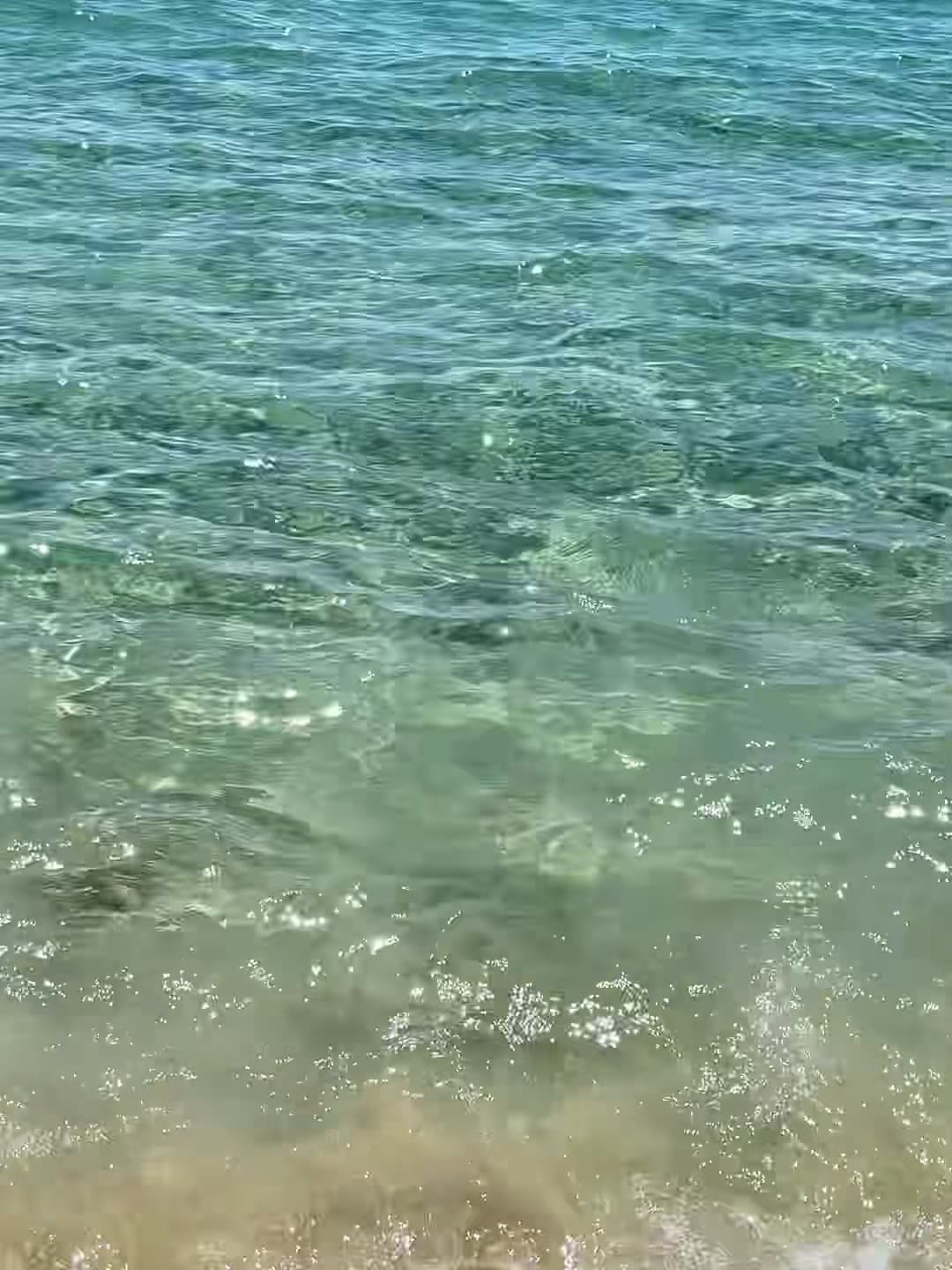 海边发呆的十分钟，水波纹像在写诗 🌊封面图