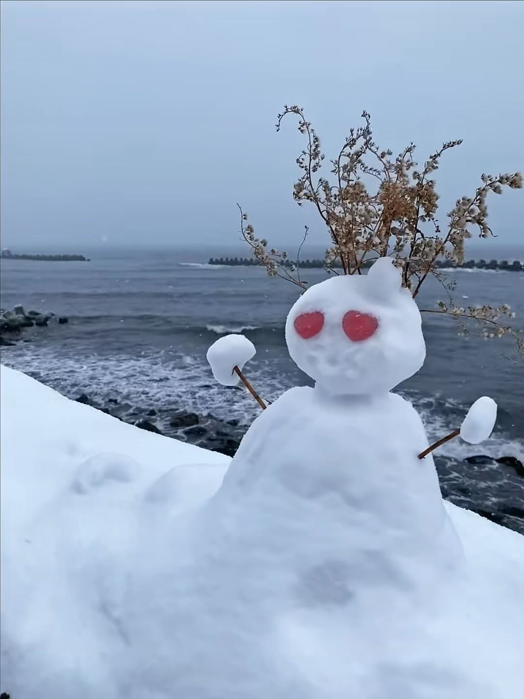 海边雪人偷吃我刚买的热可可…还把干花插头上当王冠？封面图