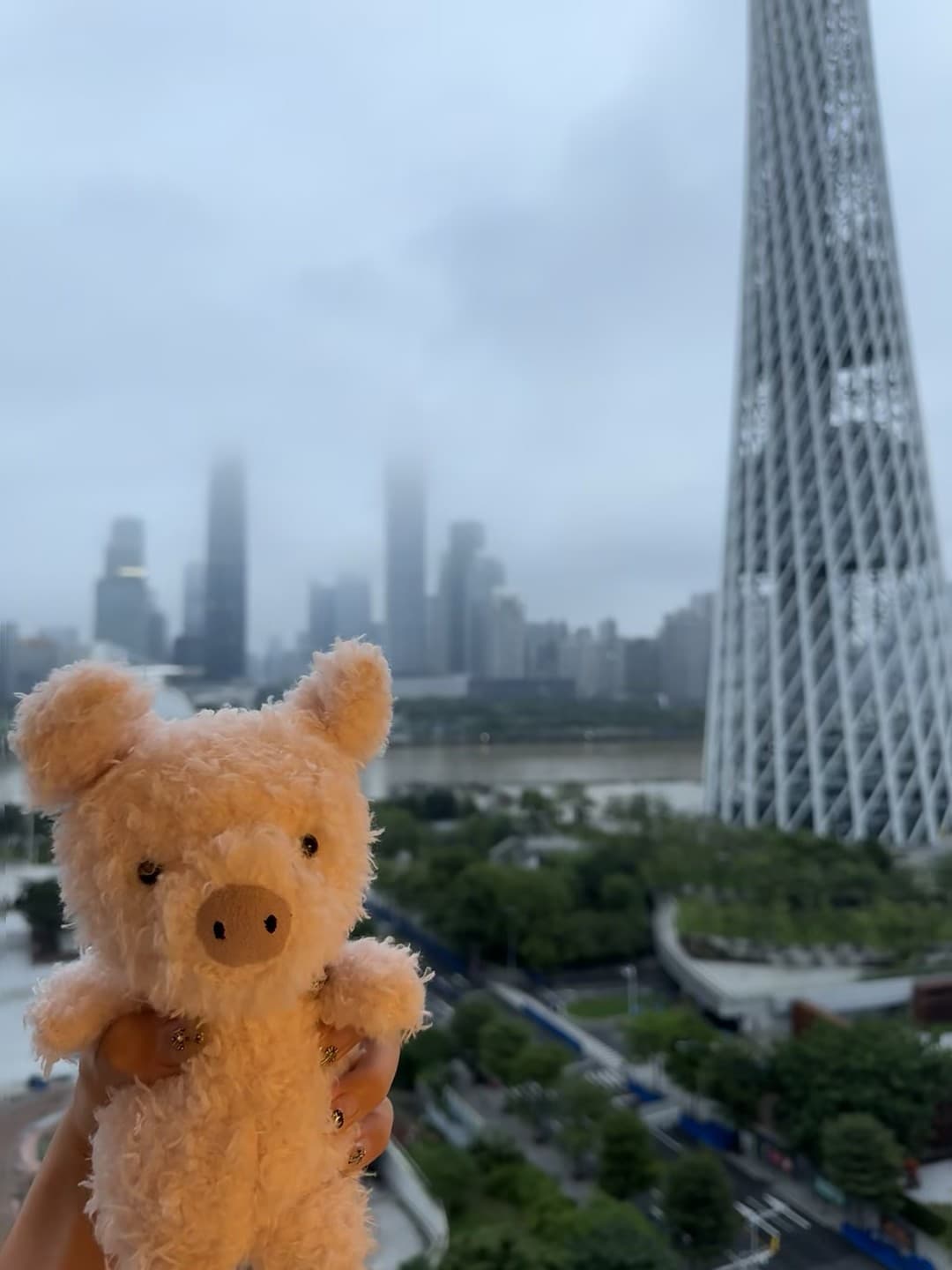 雨天拍到的云中小猪 🐷 广州塔下，雾气把写字楼都泡成棉花糖了封面图