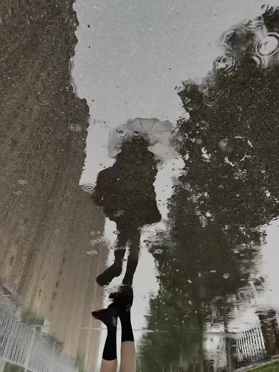 雨天蹲下来拍个倒影，像在镜子里走了一圈 🌧️封面图