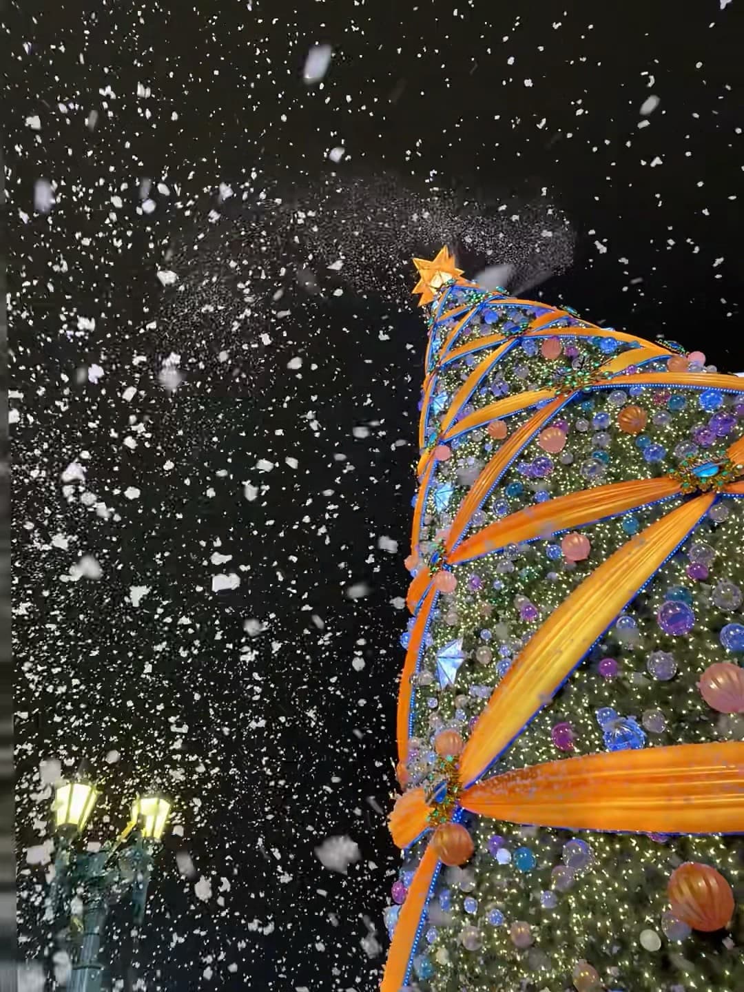 今晚街角的圣诞树突然开始下雪❄️ 路过St. James's Park，以为自己误入童话片场封面图