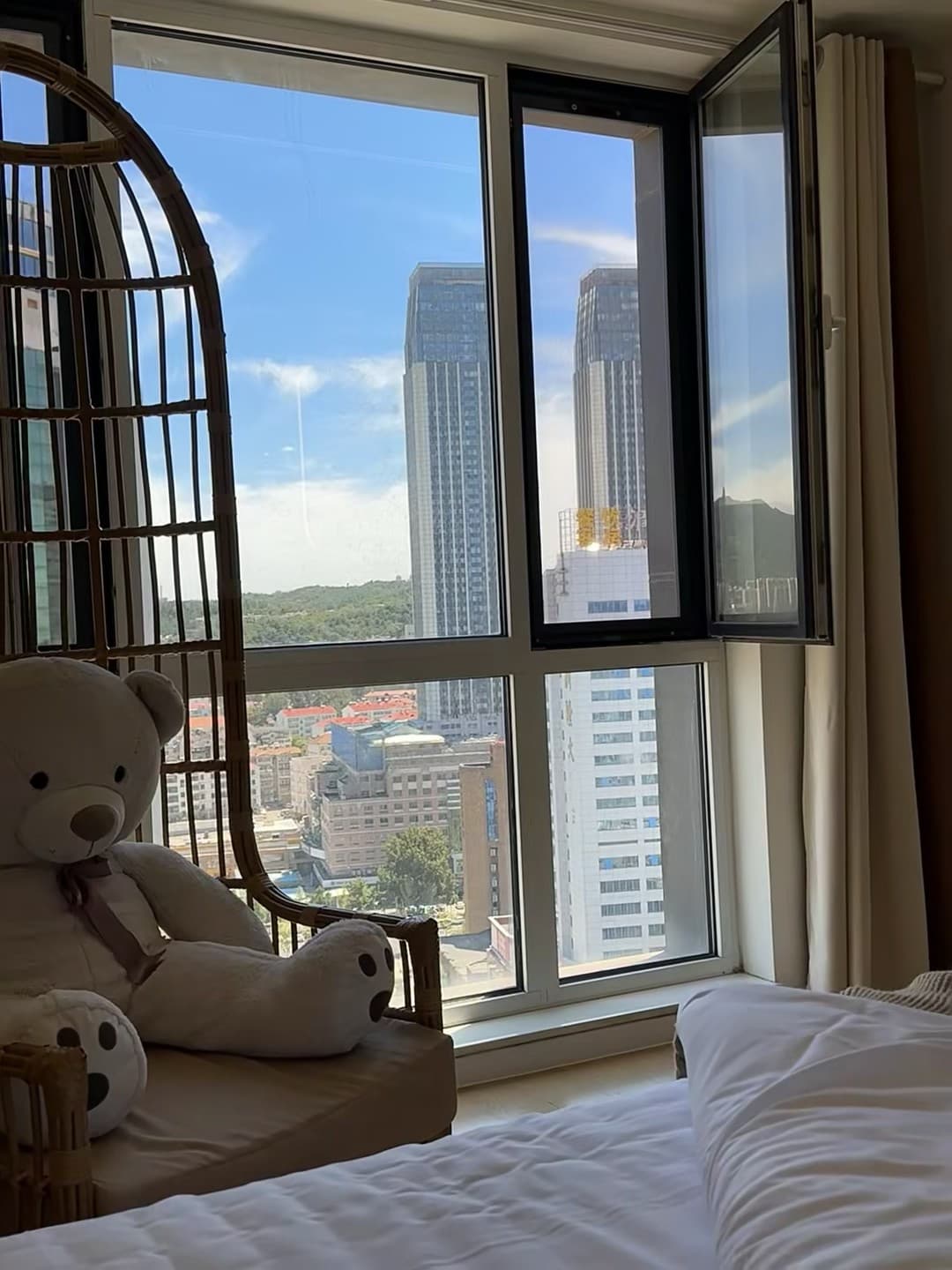 新家窗边的午后｜毛绒朋友+城市天际线，这波治愈值拉满封面图