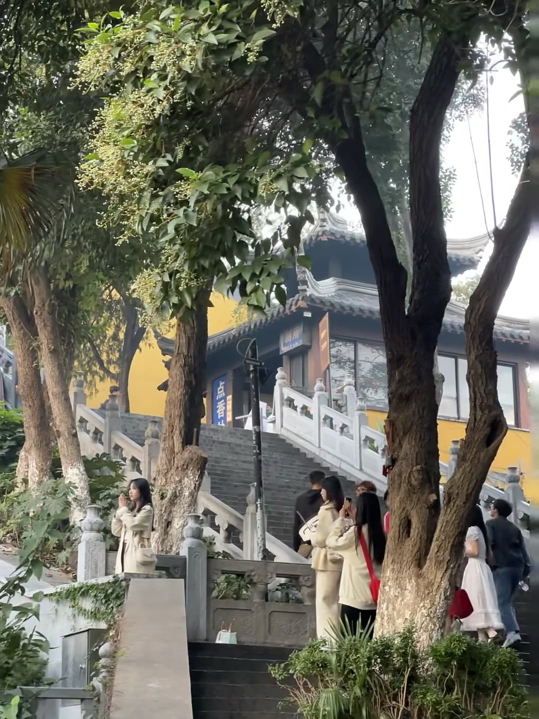 今天在老城台阶上被桂花香突然袭击 🌸封面图
