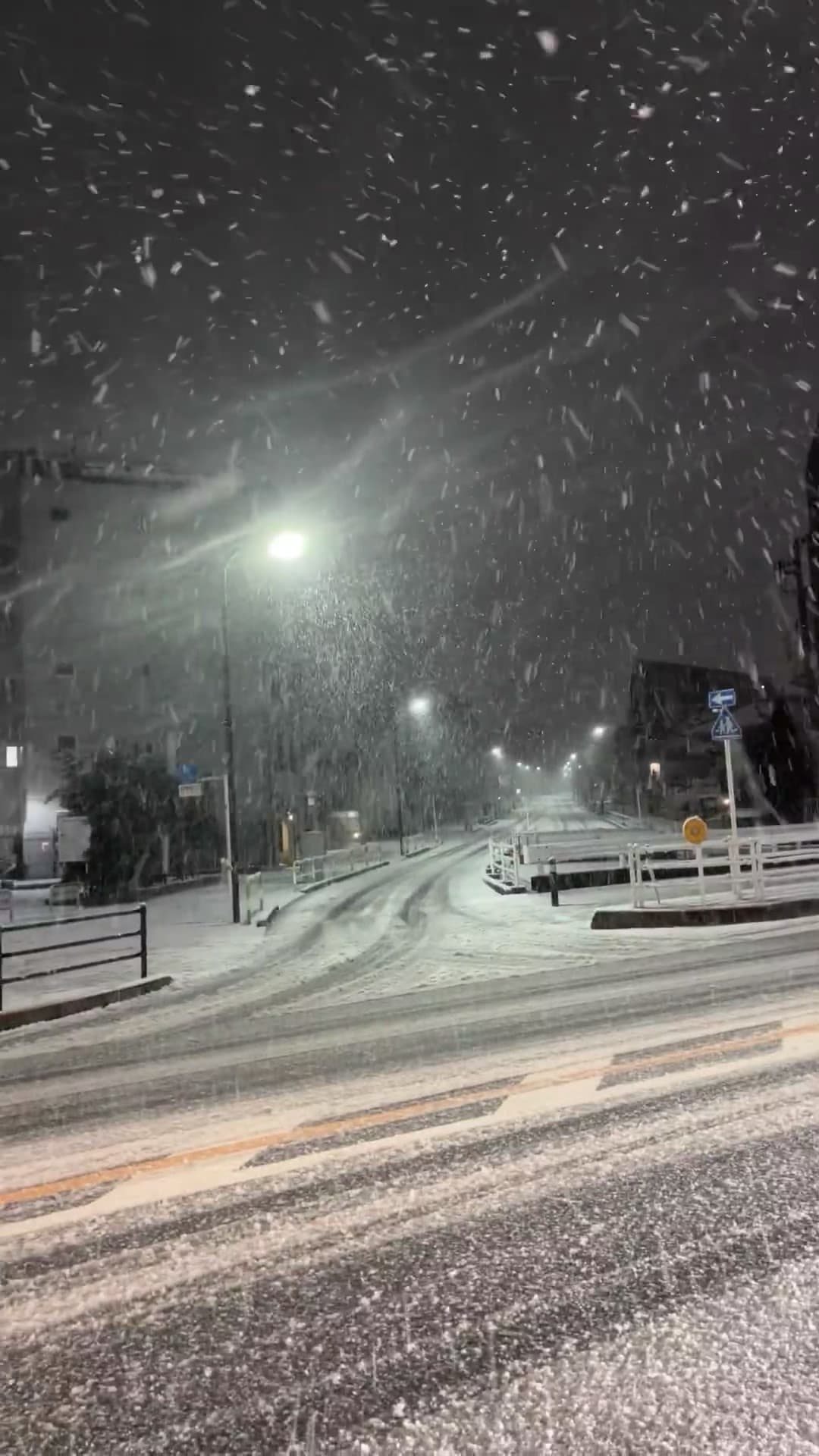 今晚的雪，把路灯都染成毛茸茸的了封面图