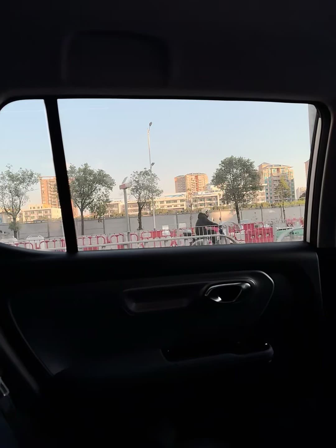后座视角|通勤路上的日常帧,今天在街角等红灯时拍到的暖光封面图