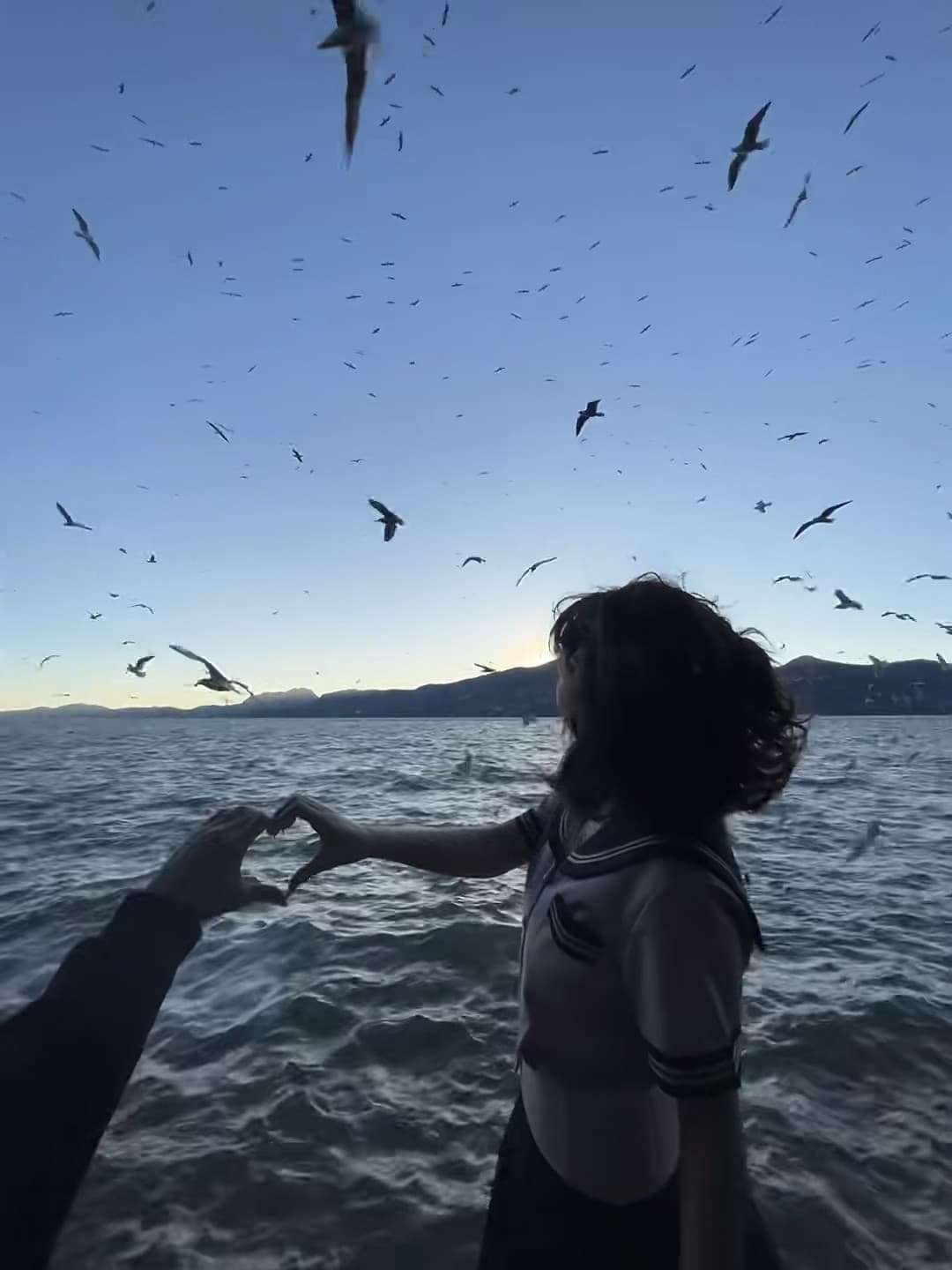 傍晚海边喂海鸥的奇遇｜手比心，鸟比心，连风都在帮我们拍封面图