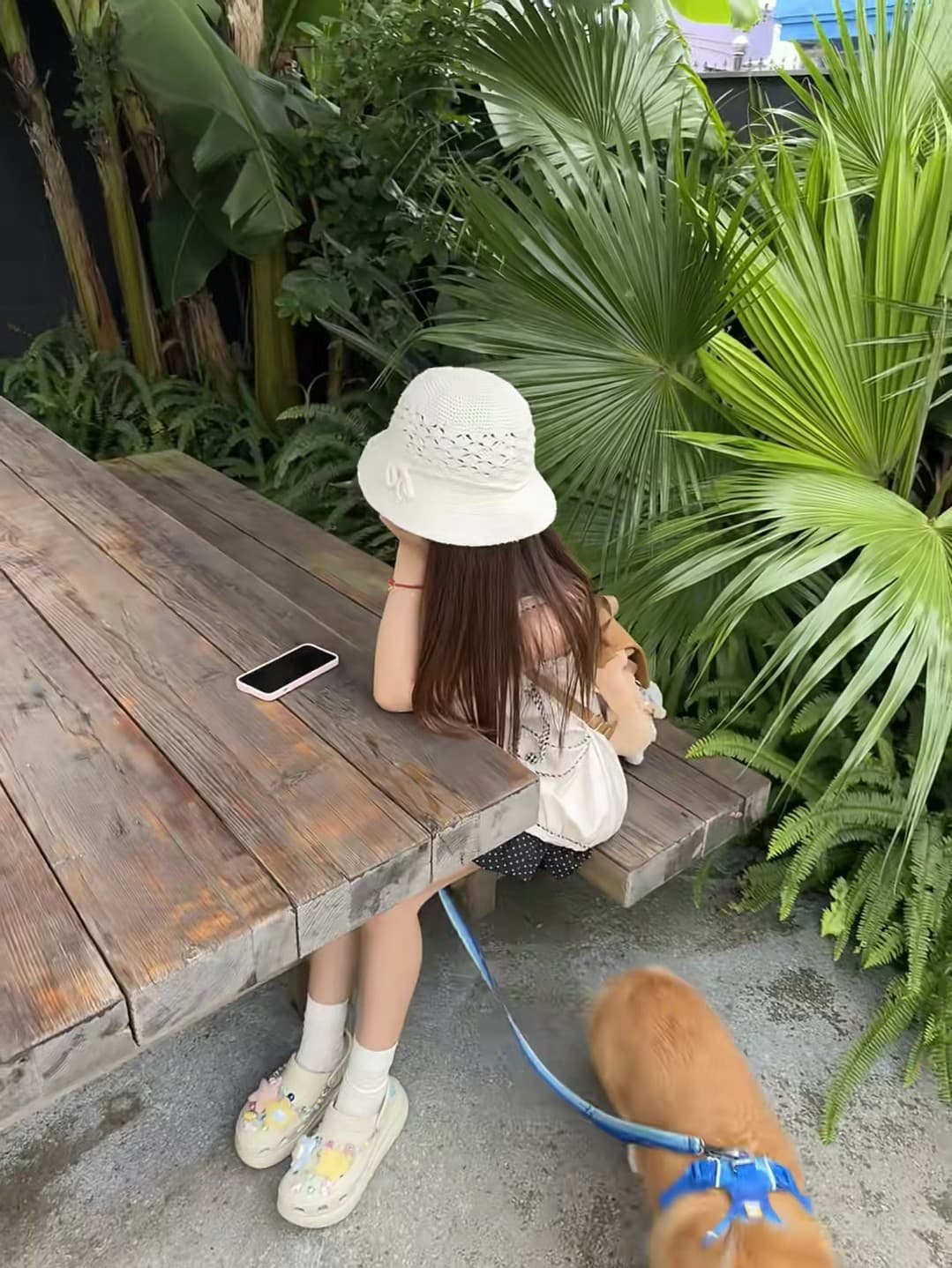 午后偷懒时间｜木桌边的毛茸茸守候 🐶封面图